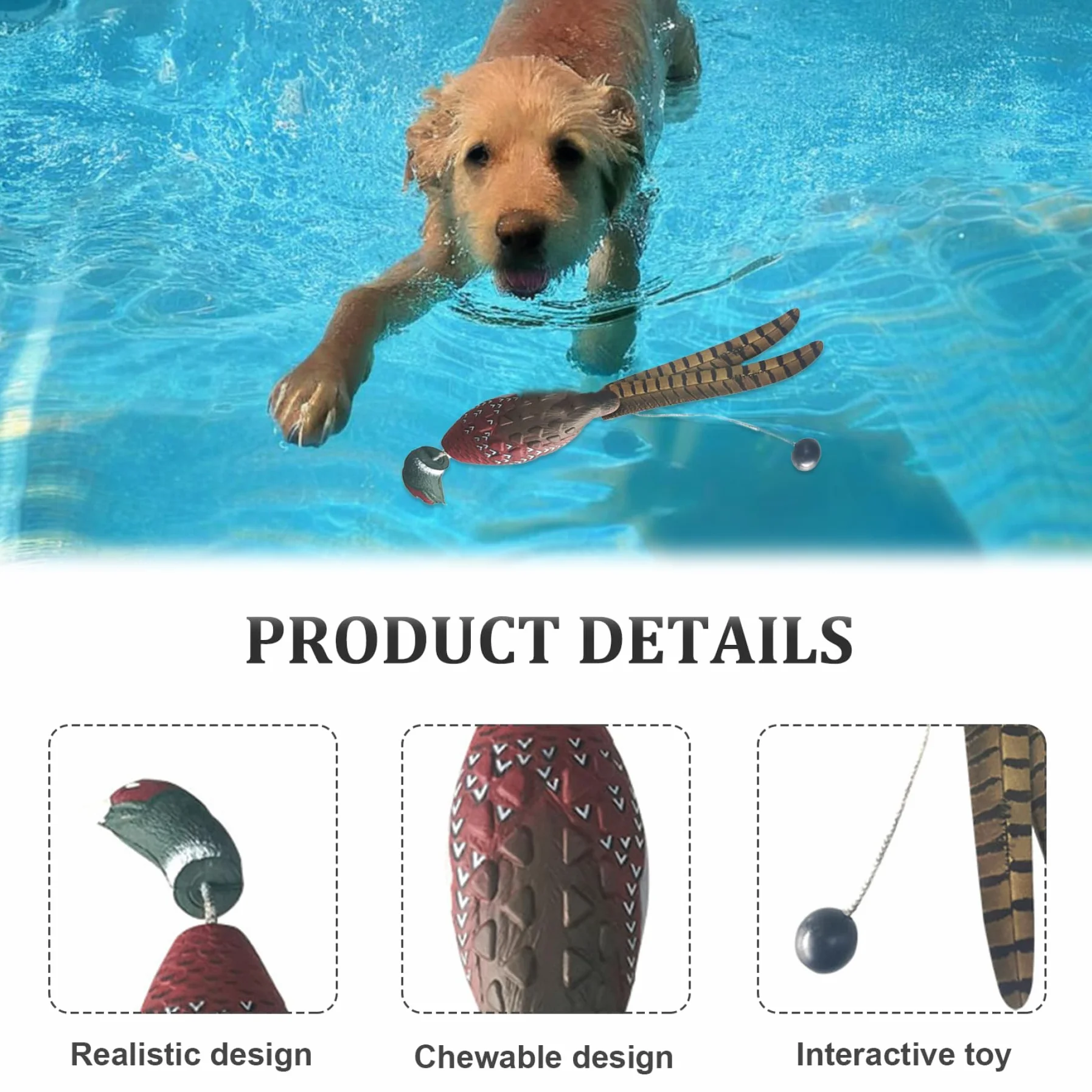 Pare-Chocs pour Chien EVA, Jouet d'entraînement de Faisan imperméable et réaliste avec Bascule de Lancer