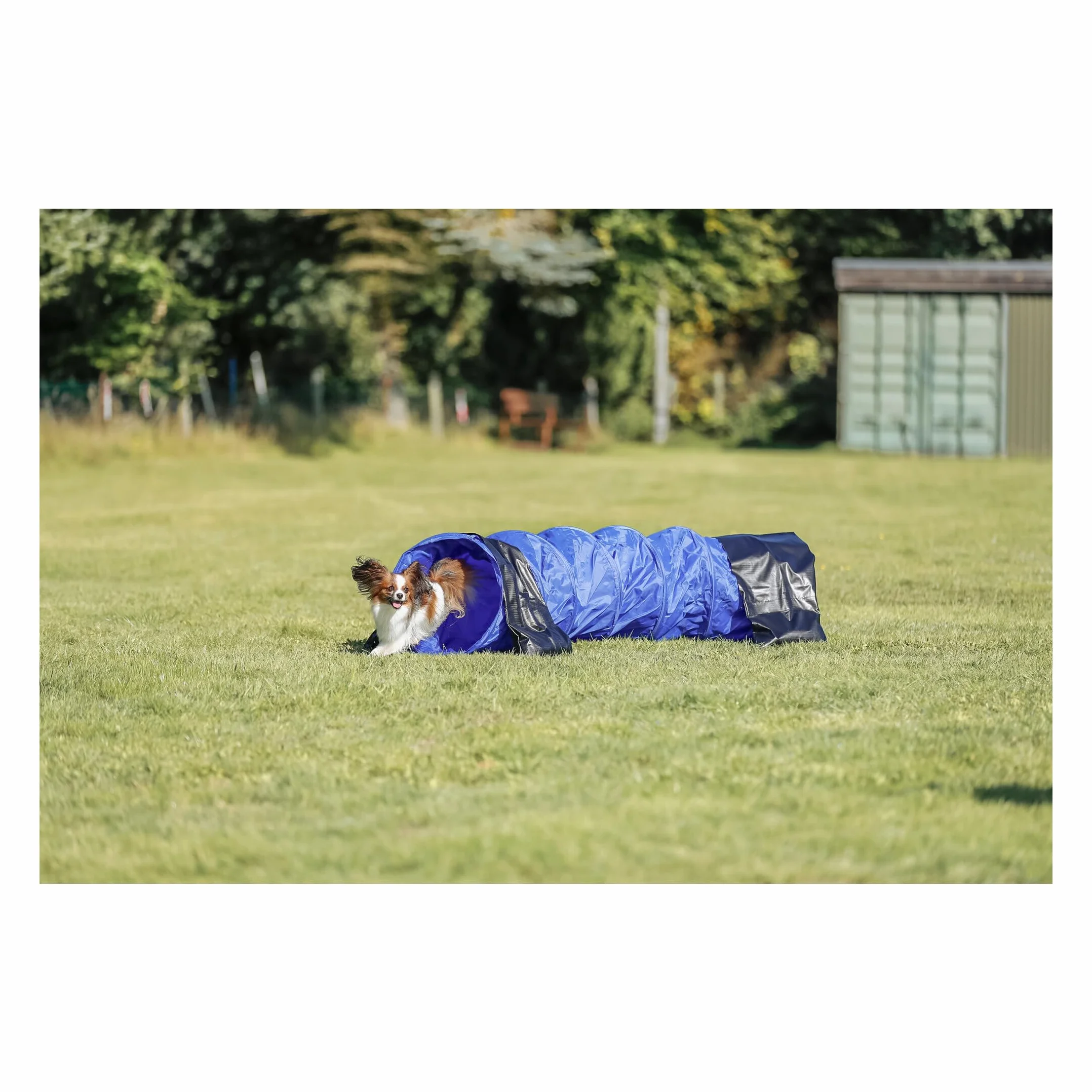 Trixie Dog Activity Tunnel Agilité 40 cm 2 m Bleu