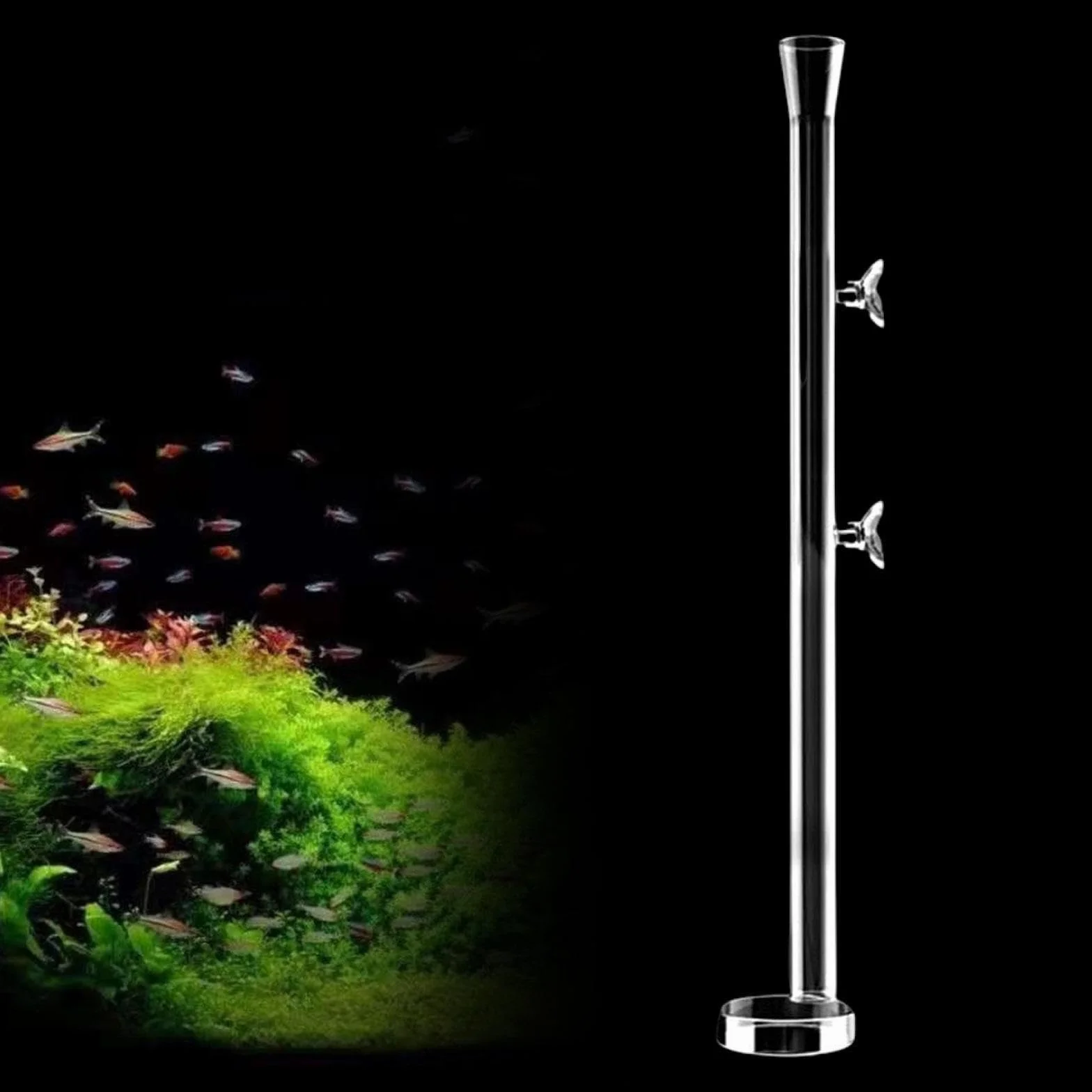 MagiDeal Tube d'alimentation en Verre pour Aquarium 45CM Plateau Rond Mangeoire Crevettes