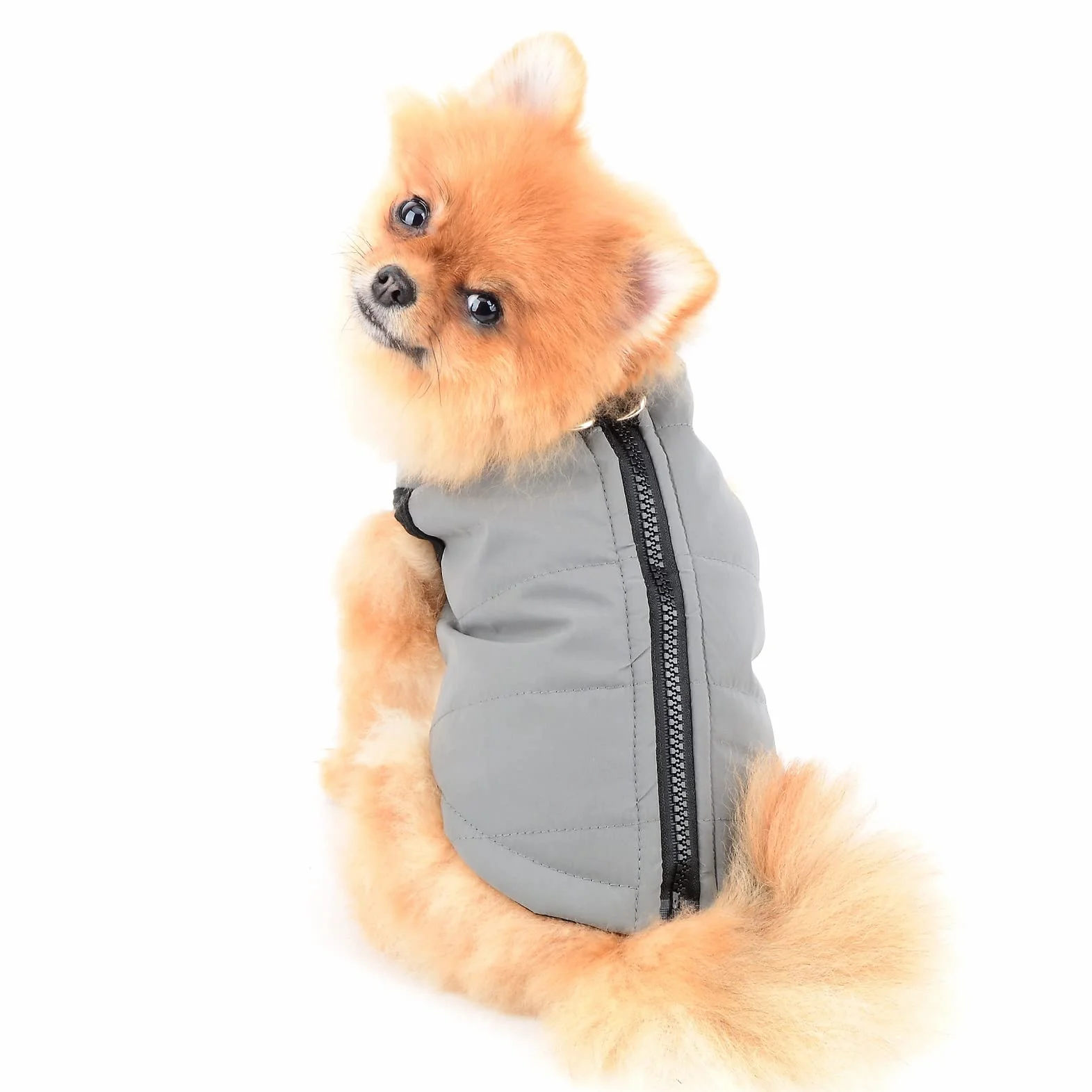 Veste d'hiver imperméable pour chien avec anneaux en D, manteau matelassé taille S gris