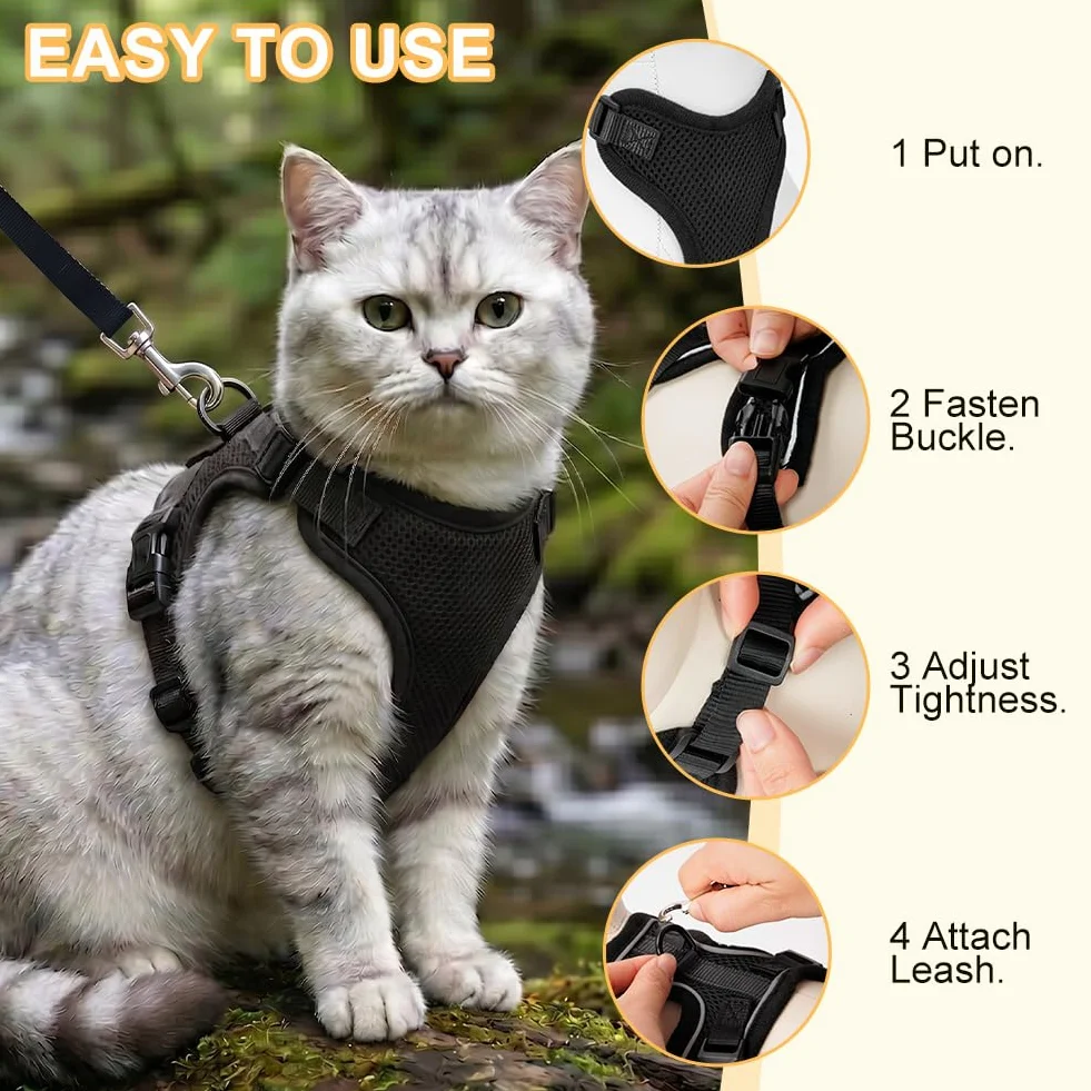 Aolso Harnais pour Chat Anti-éclatement Filet Respirant Réglable Réfléchissant Laisse 150cm Noir Taille M