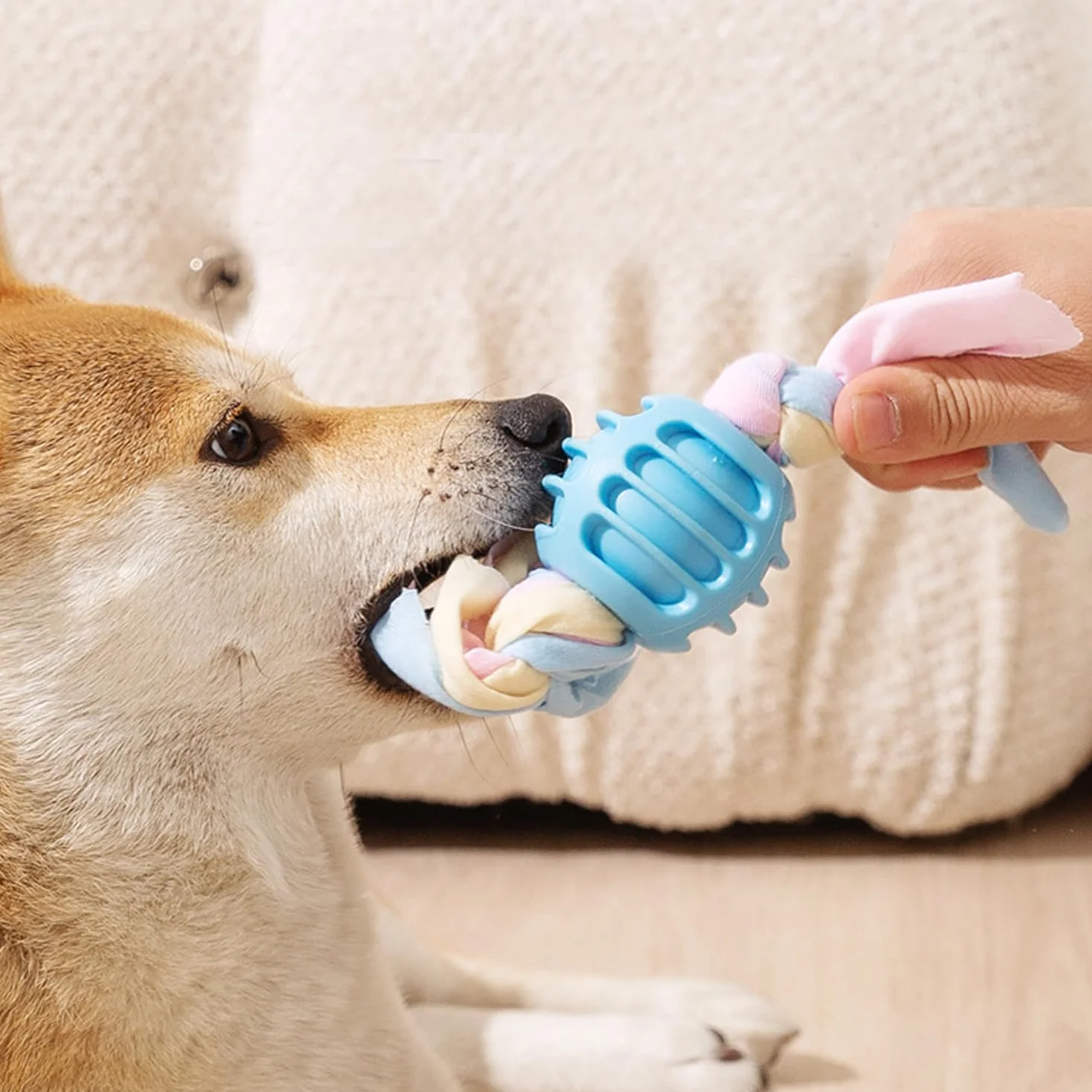 Jouet Interactif Chien avec Corde et Balle, Jouets Dentition en Coton pour Chiens