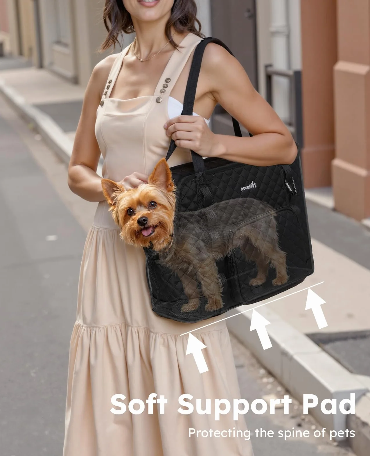 Pecute Sac Transport Chien Portable avec Tapis Amovible pour Voyages et Plein Air Noir