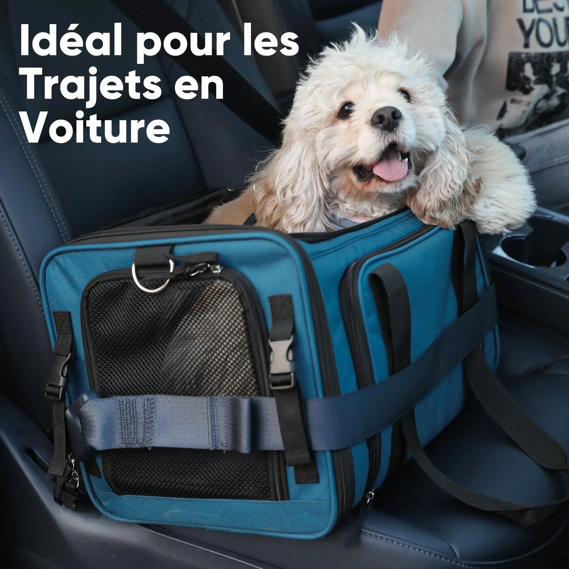 FUKUMARU Sac de Transport pour Chat, Cage de Voyage Souple et Extensible, Approuvée en Cabine, Bleu