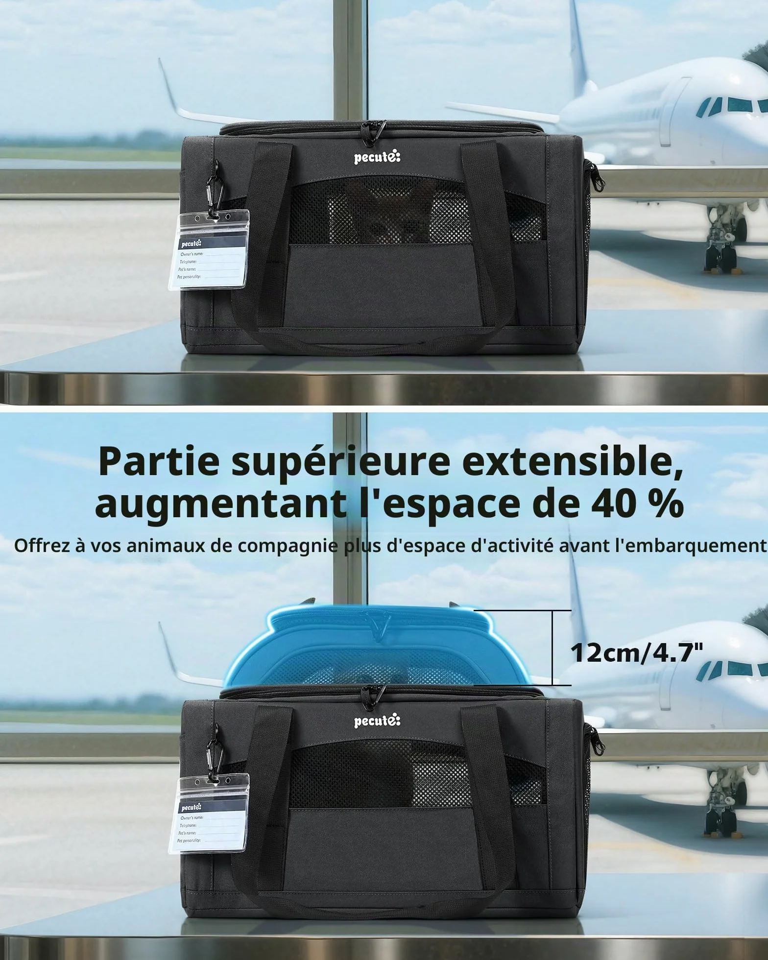 Pecute Sac de Transport pour Chat Extension Supérieure, Cadre Ultra Stable, Pliable, Gris Foncé