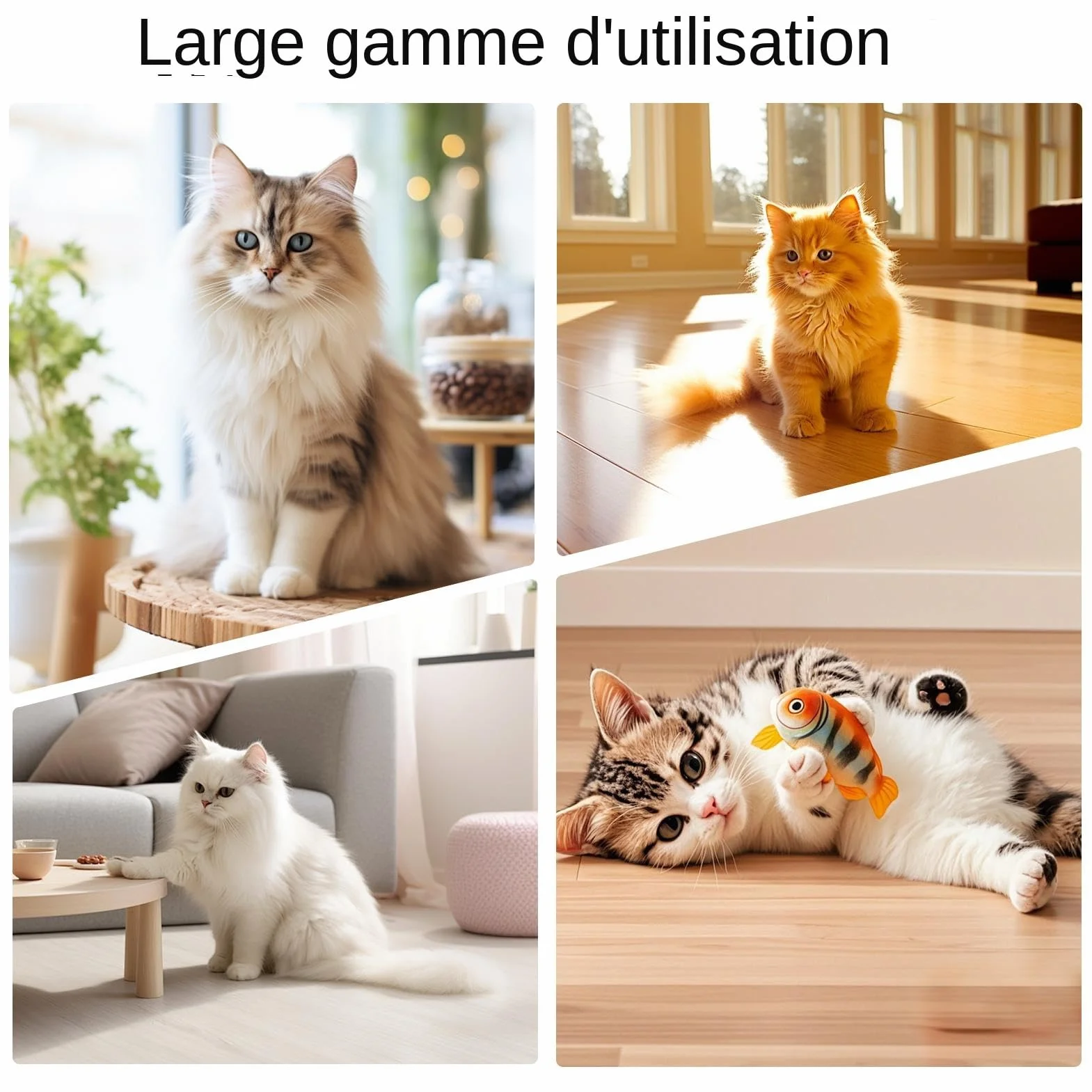 Brosse Autogrooming Pour Chat Avec Coussin Grattatoire Résistants aux Morsures Accessoires Toutes Tailles