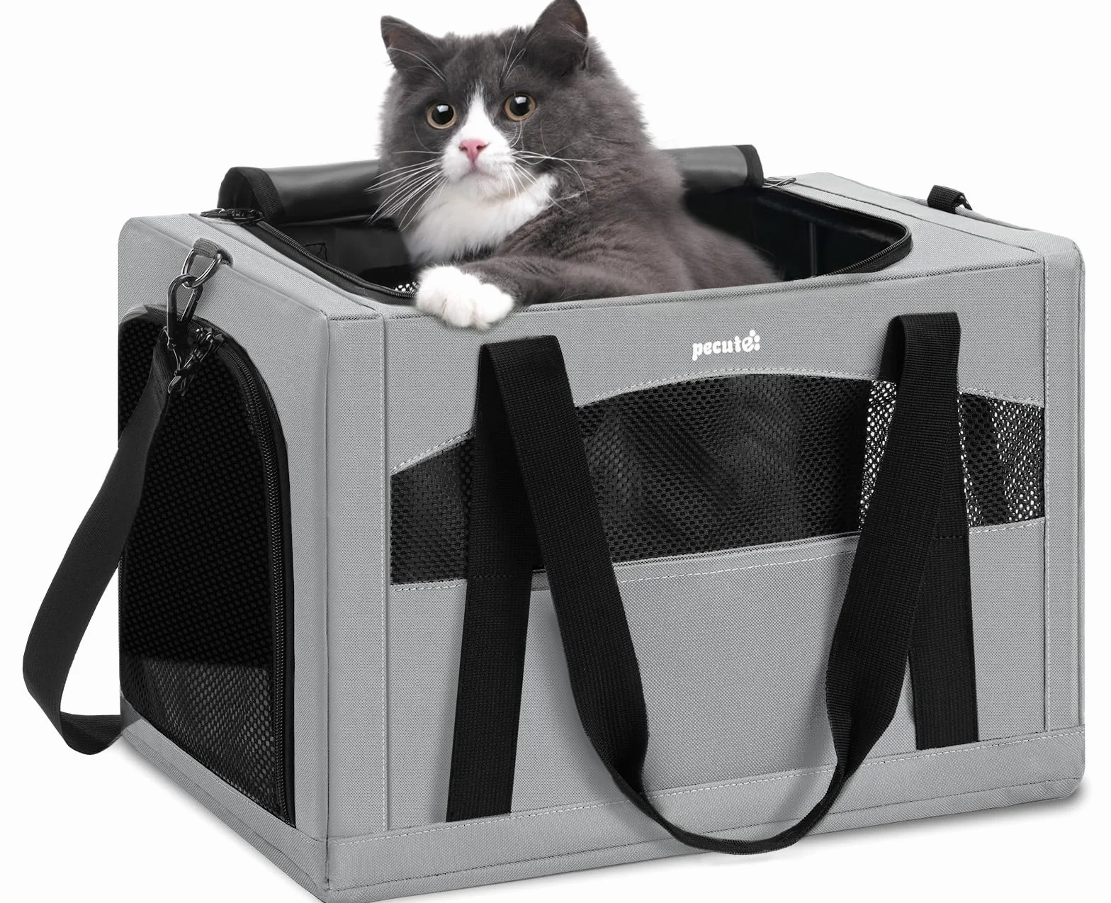 Pecute Sac de Transport pour Chat Pliable Ultra Stable Gris Voyage Chien Portable