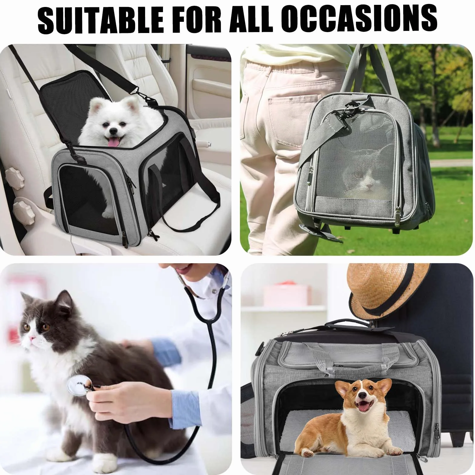 Sac de transport pour chat - 40 x 25 x 25 cm - Petit sac de transport pliable de 3 kg - Avec bandoulière - Boîte de transport pour chat - Boîte de transport pour petits chats - Taille S