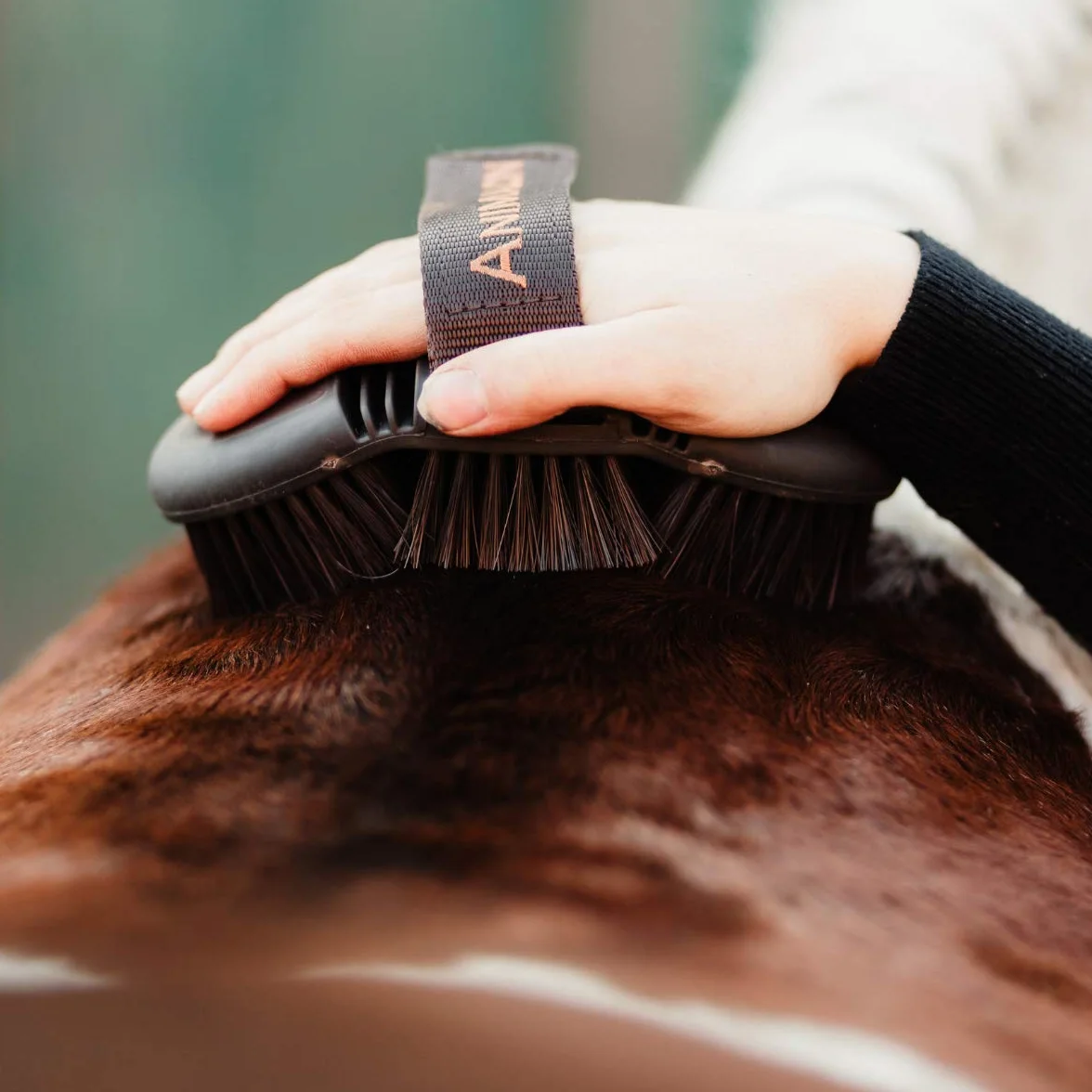 Brosse pour Chevaux CareFlex Animalon Flexible Ergonomique Velcro Kit Pansage Accessoires Nettoyage Équidés