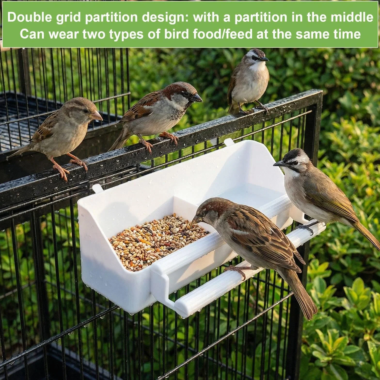 Mangeoire Oiseaux Cage Plastique Distributeur Nourriture 4 Pièces