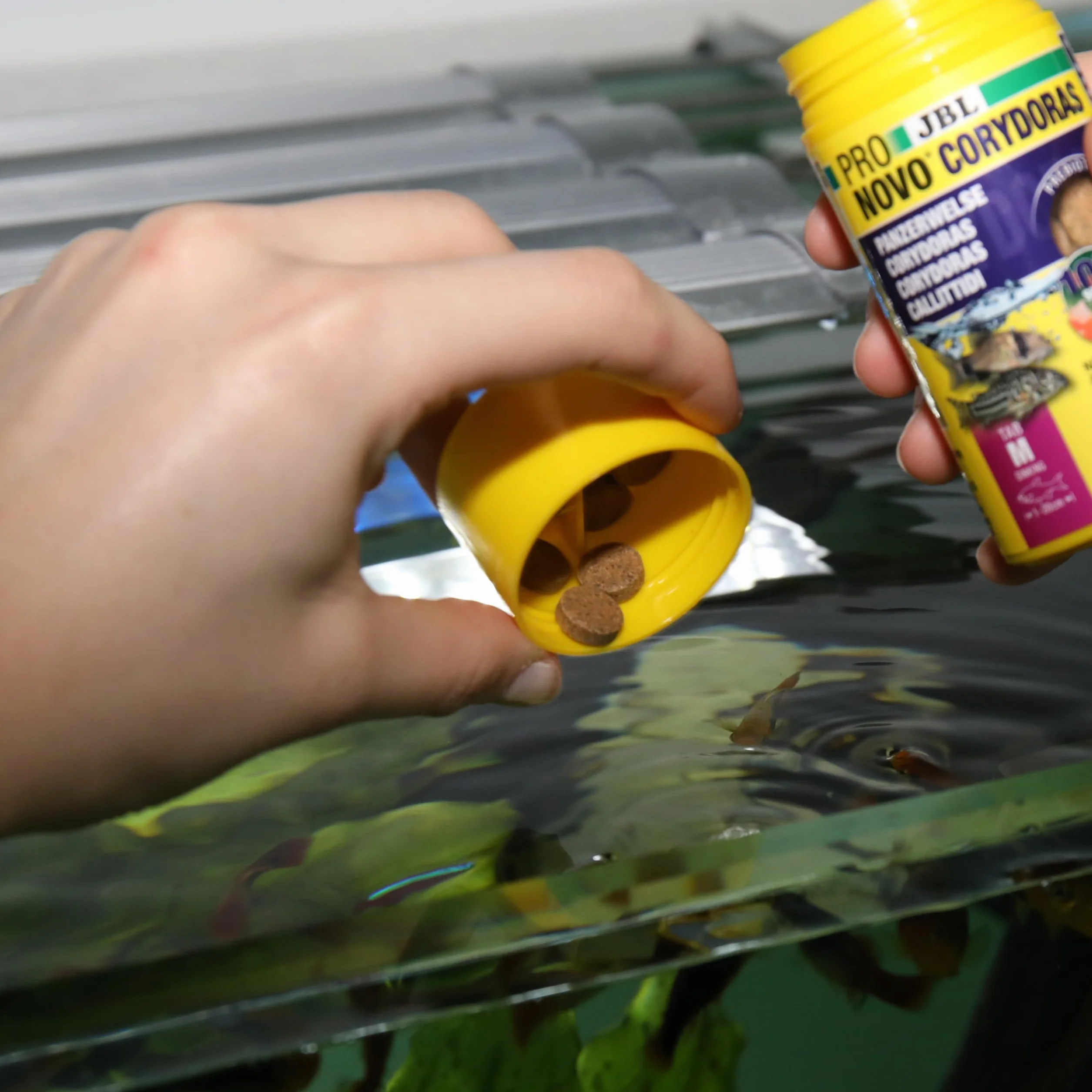 JBL PRONOVO CORYDORAS TAB, Aliment de Base pour Callichthyidés, Comprimés pour Poissons, 100 ml