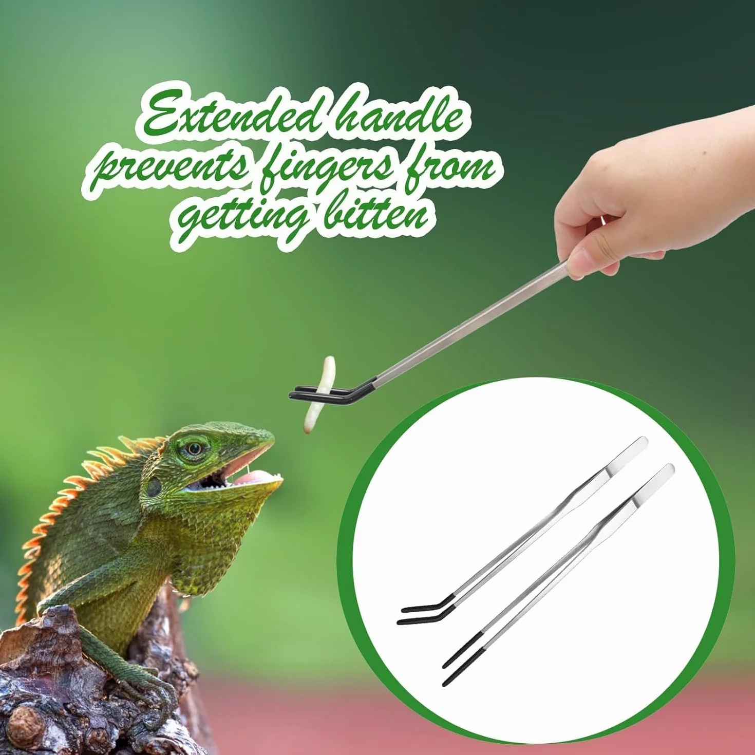 Lot de 2 pinces d'alimentation pour reptiles en acier inoxydable 26,6 cm droites et incurvées pour aquarium terrarium