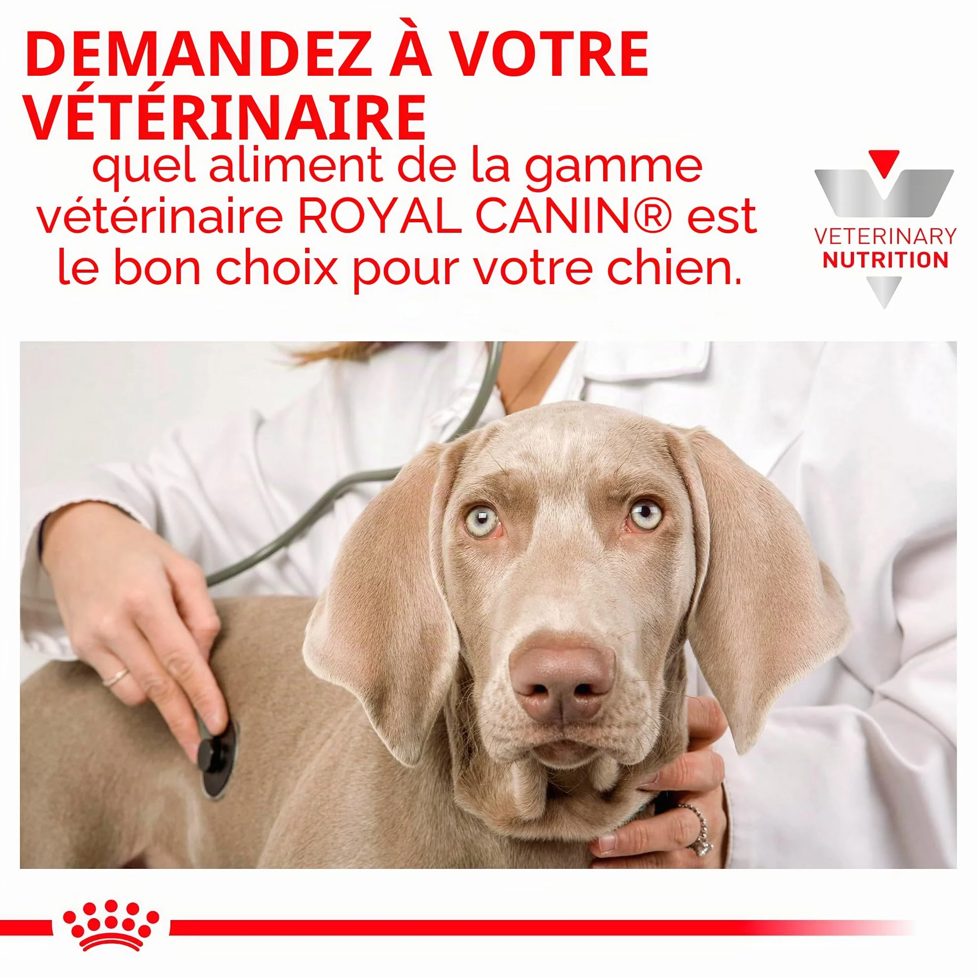 ROYAL CANIN Veterinary Gastro-intestinale Mousse 12x200g Nourriture diététique complète pour Chiens Adultes