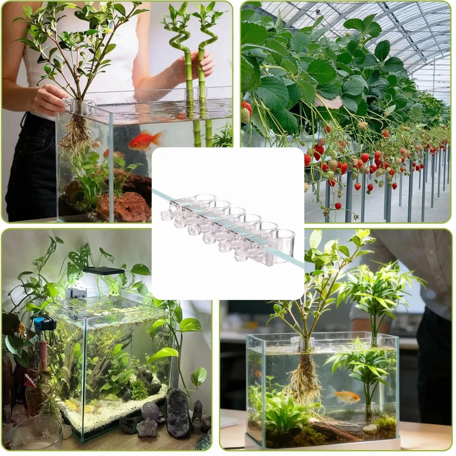 Supports pour plantes d'aquarium en acrylique - Lot de 6 clips réutilisables - Convient pour verre 0,39"-0,6"