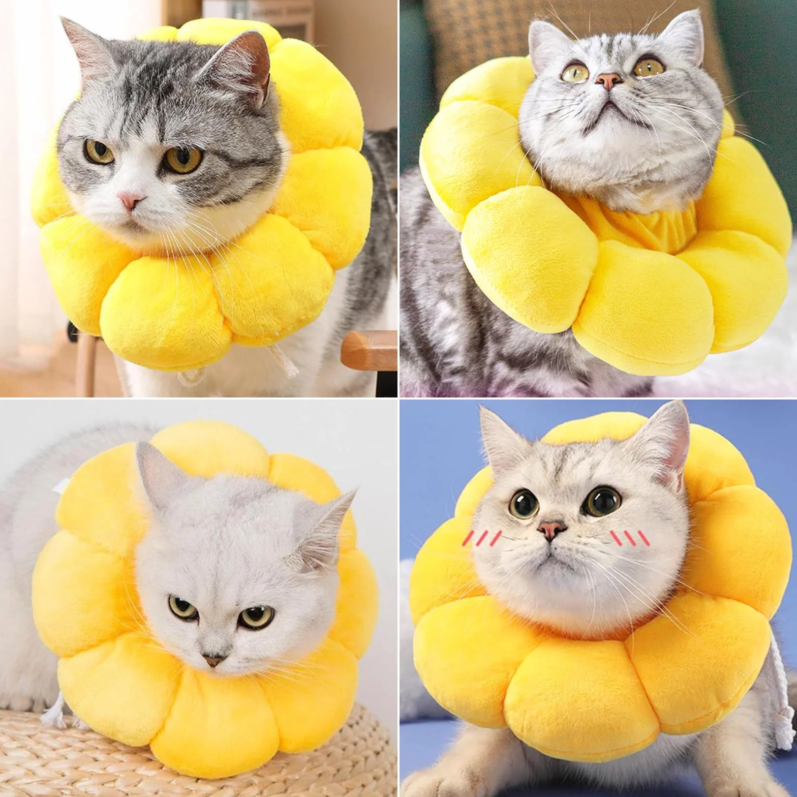 Collier de Protection Chat Tournesol, Collerette en Coton Suédé Respirant, Ajustable 14-22cm (M)