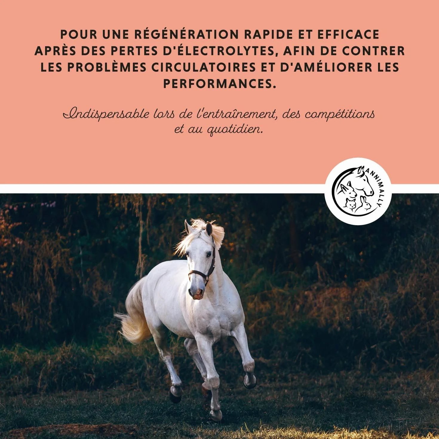 Annimally Électrolytes Liquides pour Chevaux 1000ml Sodium Potassium Acerola Calcium Magnésium Vitamine B sans Sucre