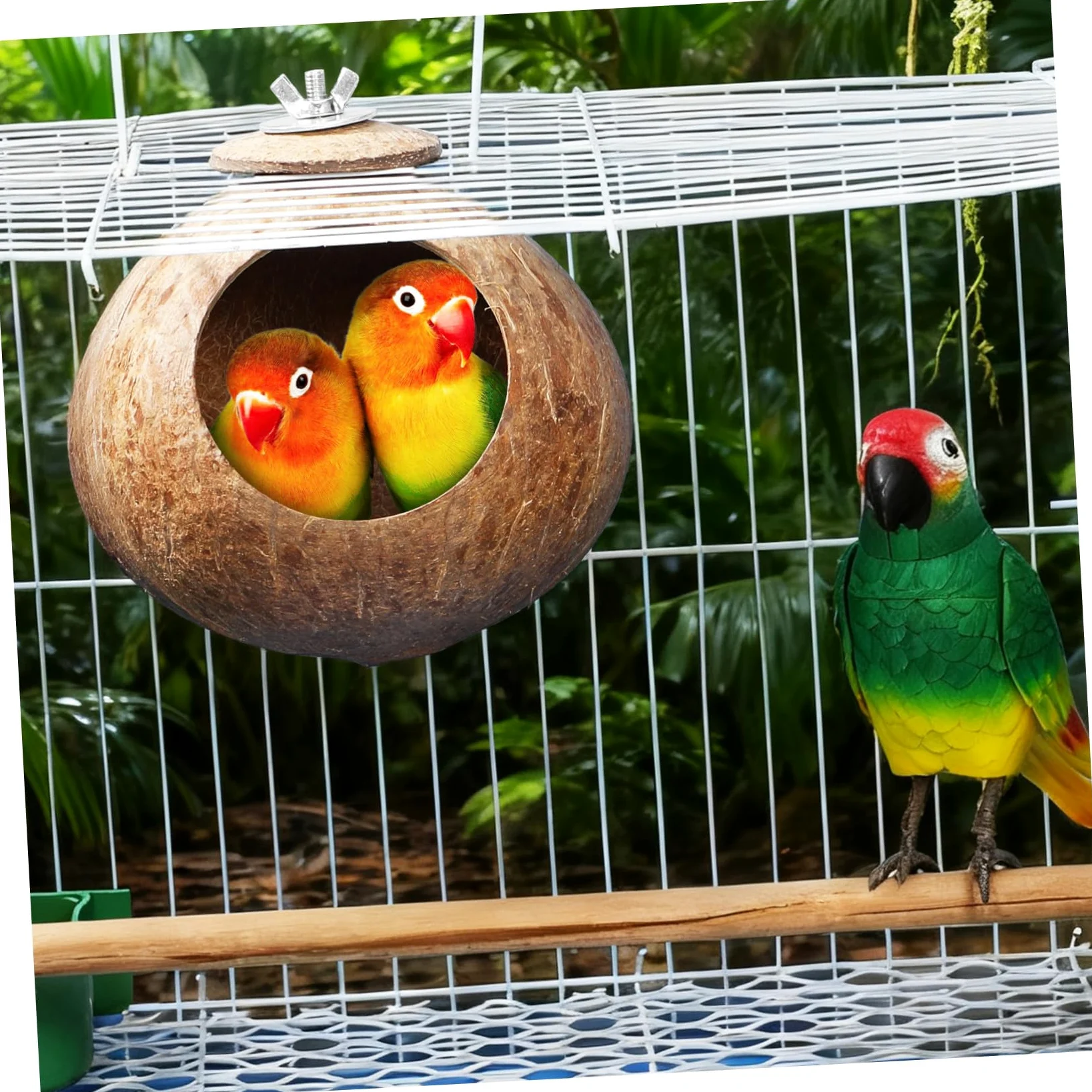 Balacoo Nid d'Oiseau en Noix de Naturelle, Cabane Suspendue pour Hamster, Perruche, Canari et Petite Souris, Abri de Repos et Jouet de Cage Écologique, Cachette pour Reproduction (15 cm)