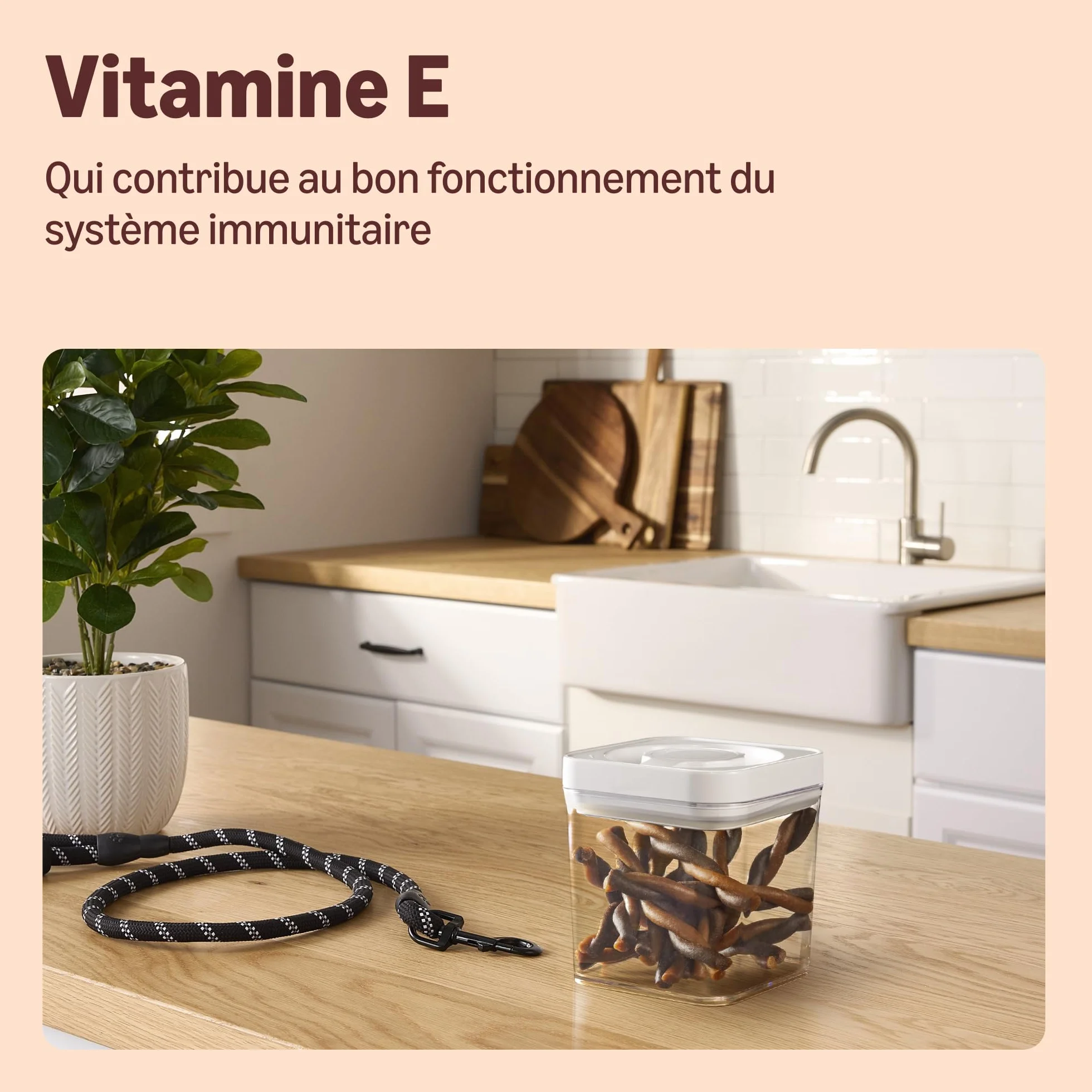 by Amazon pour Chiens - Bâtonnets Torsadés à la Volaille et au Gibier, 100g