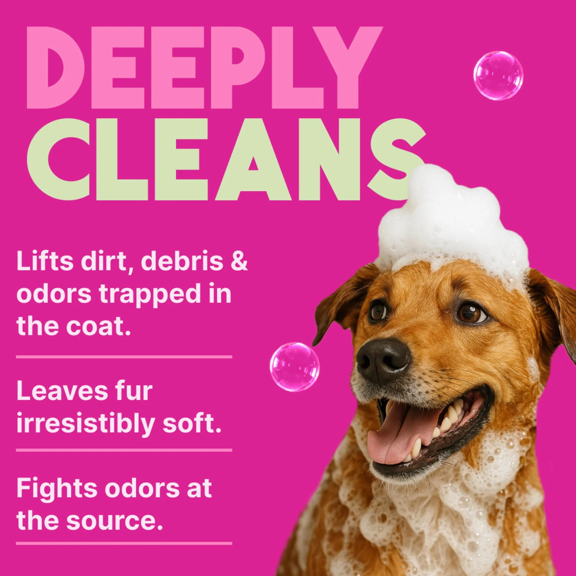 TropiClean Shampooing pour chiens et chats, nettoie et hydrate en profondeur, à base d’ingrédients naturels - Baies et noix de coco, 3,8 L