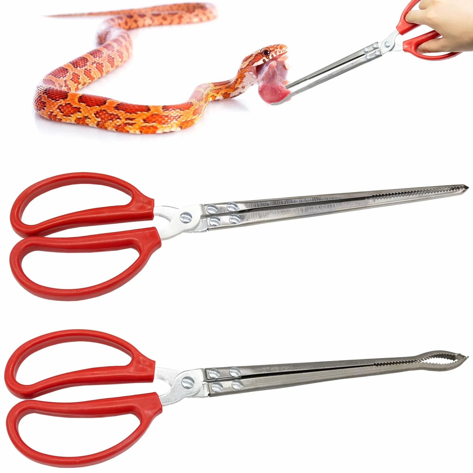 Pince à Serpent 38cm Extra Longues pour Reptiles Accessoires de Terrariums Lézards