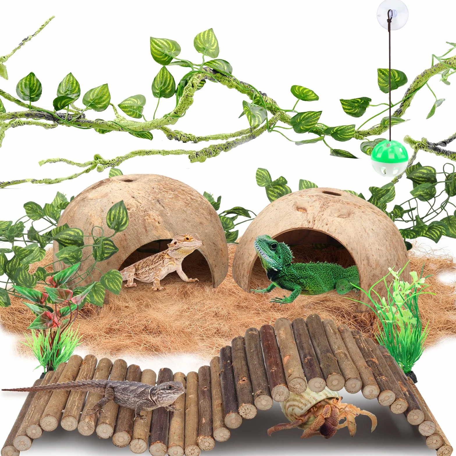 QUOZUO Accessoires de réservoir de gecko à crête, plantes grimpantes pour reptiles avec coquilles de noix de coco, pont, cachette