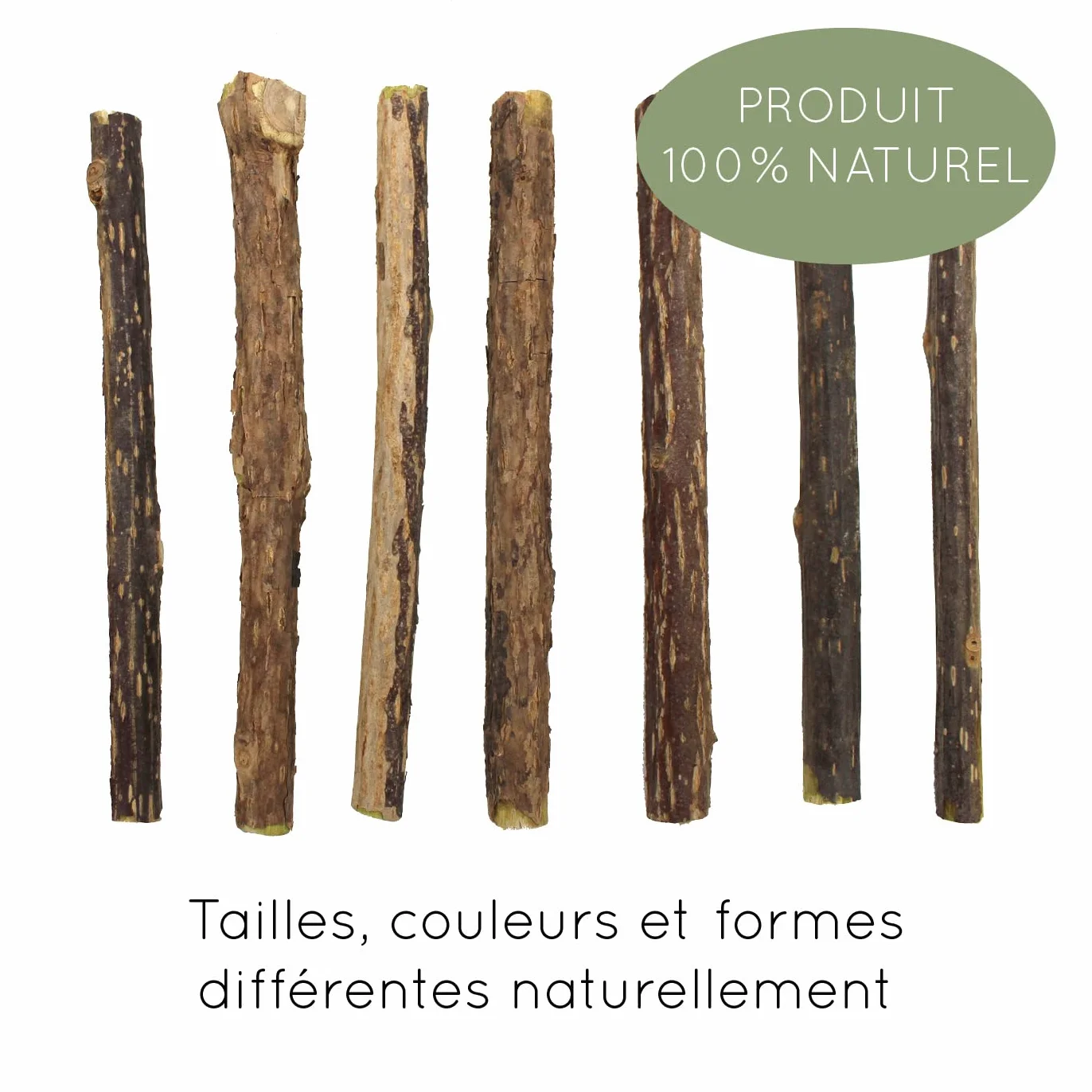 8 bâtonnets pour Chat I Soins dentaires pour Chat & Jouets à mâcher pour Chat I Produit Naturel à Base de matatabi bâtonnets pour Chat Herbe à Chat valériane bâtonnets pour Chat