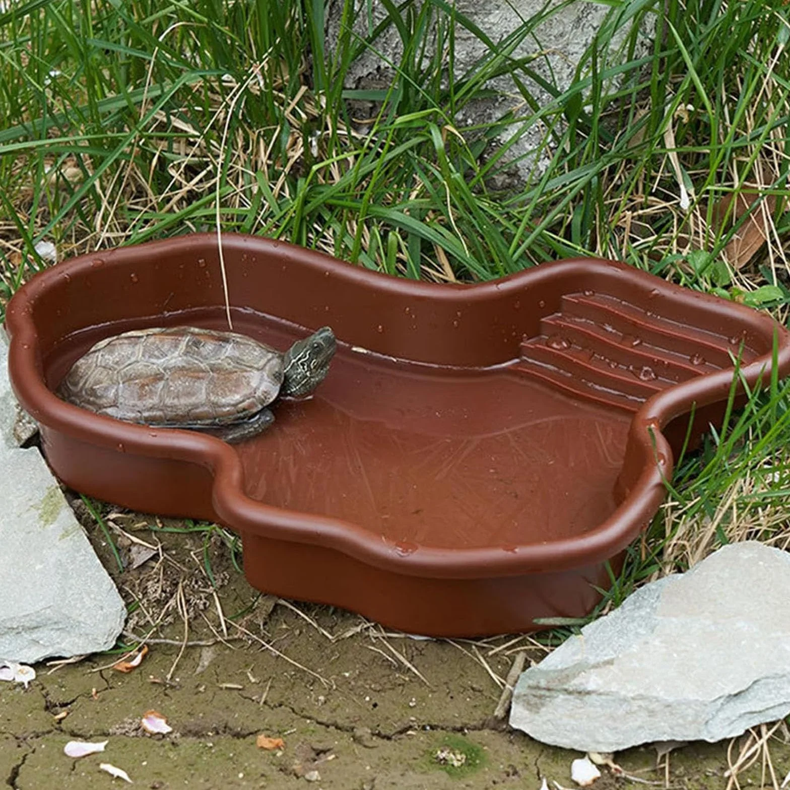 Plat d'eau pour Reptiles, Tortues avec Rampe, Bain Amphibiens Lézards, Ornement d'aquarium