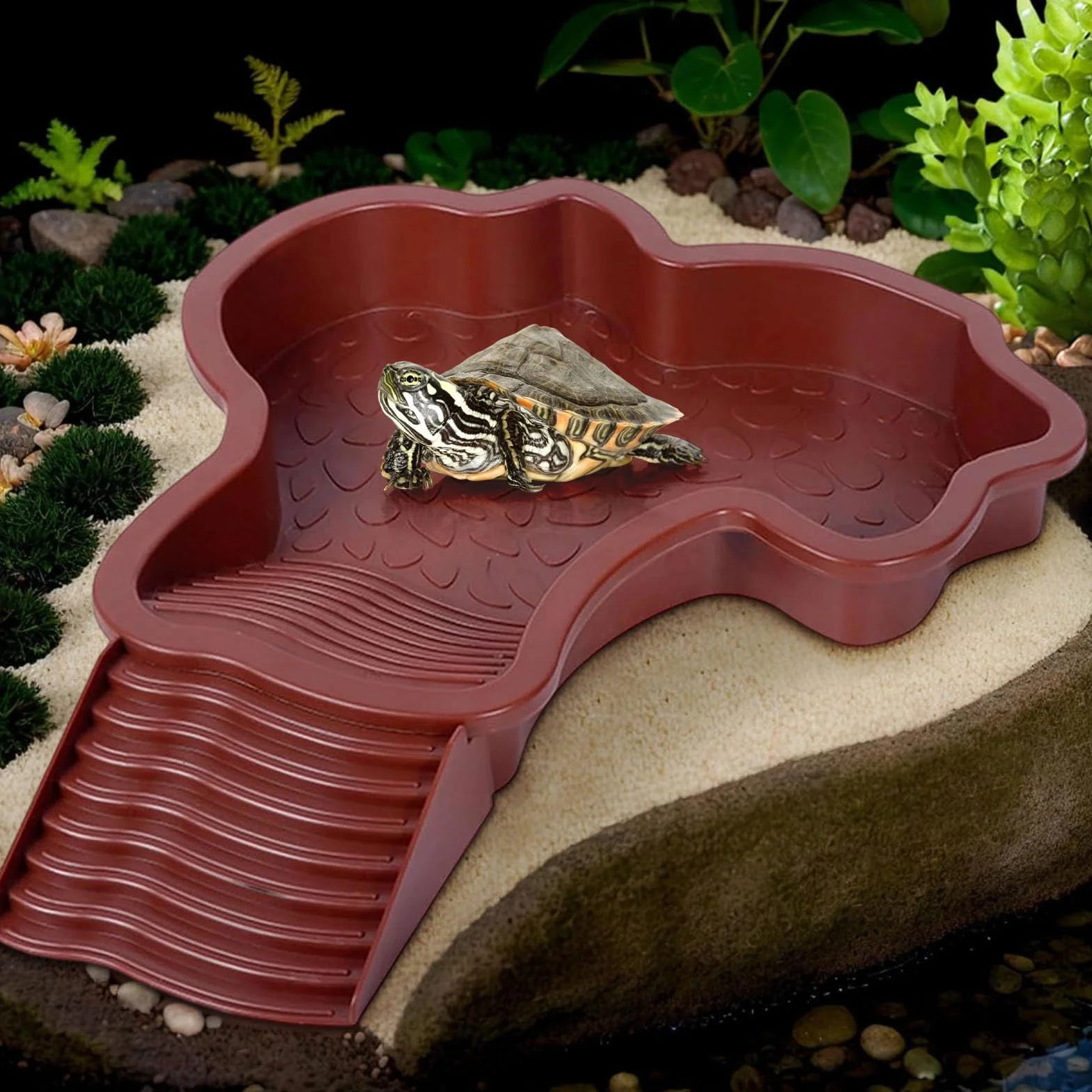 Bassin de bain pour tortues avec plateau incliné pour reptiles