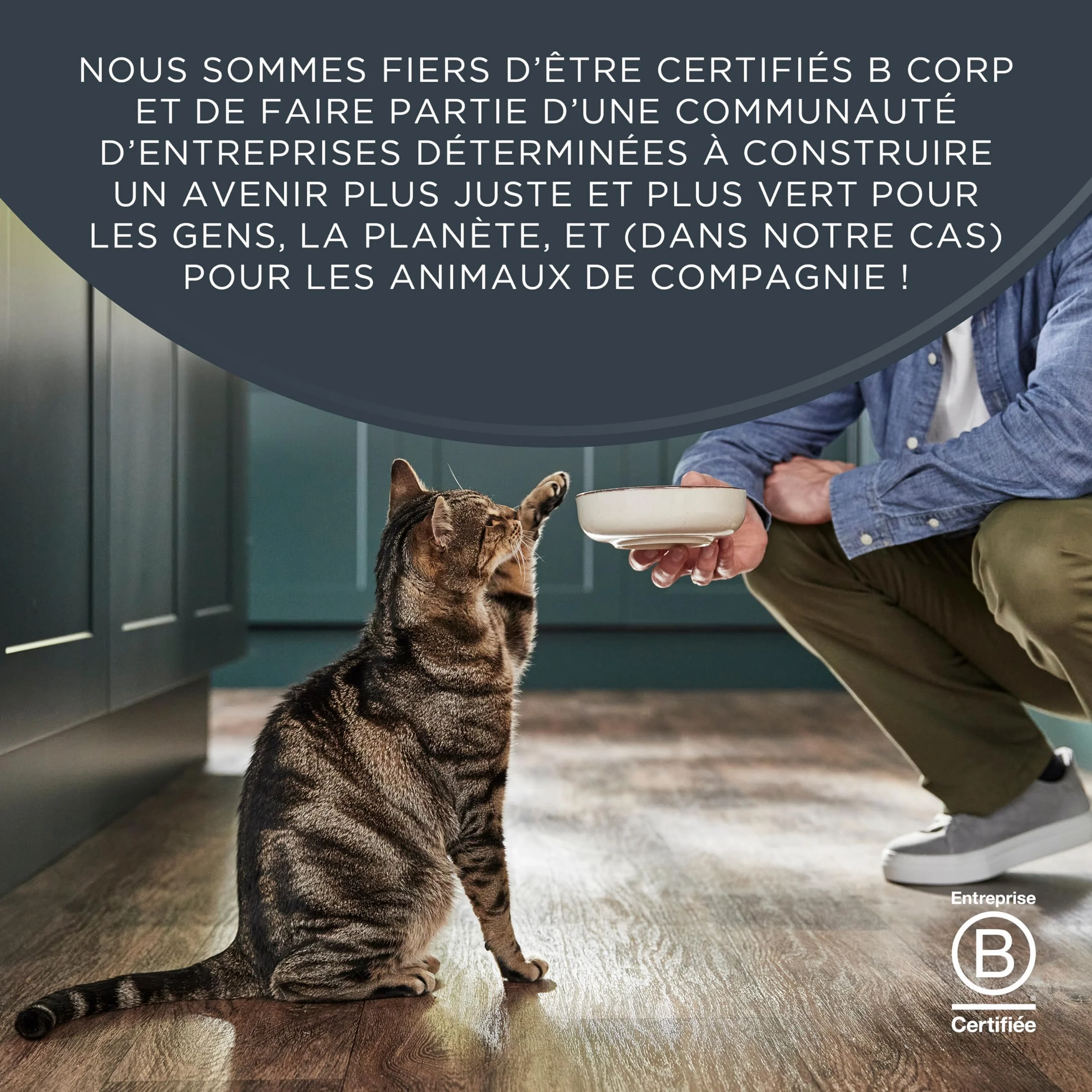 Encore Friandises pour Chat au Filet de Thon 100% Naturelles Lyophilisées Snacks Sains sans Céréales Lot de 12 Pochettes 10 g