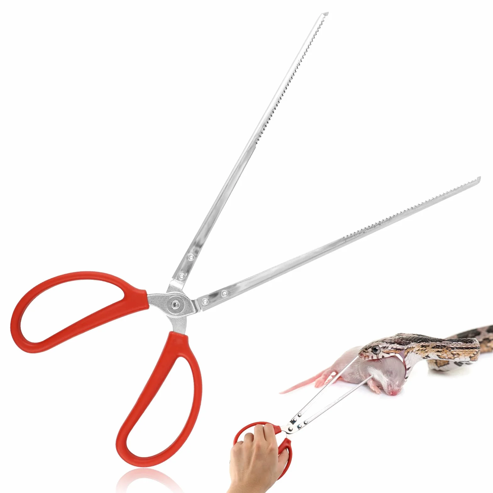 Pince à Nourriture Reptile 37cm Antidérapants pour Serpent Python