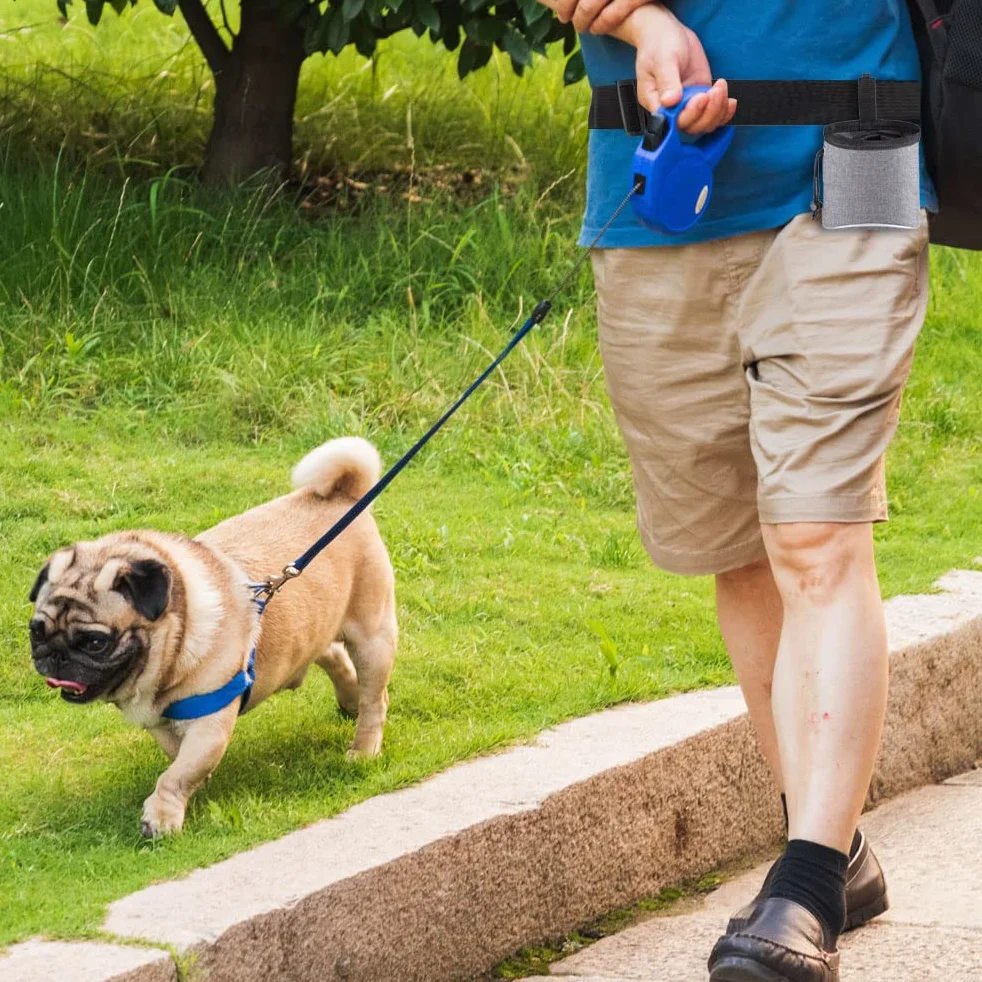 Sac d'entraînement pour Chiens avec Distributeur de Sacs à Crotte et Ceinture Ajustable Gris