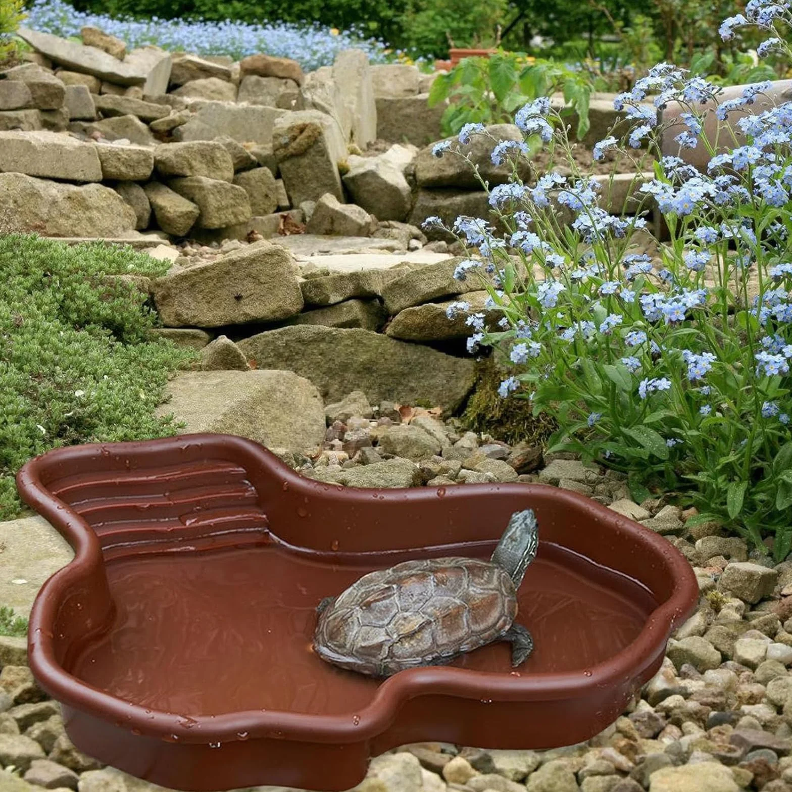 Plat d'eau pour Reptiles, Tortues avec Rampe, Bain Amphibiens Lézards, Ornement d'aquarium