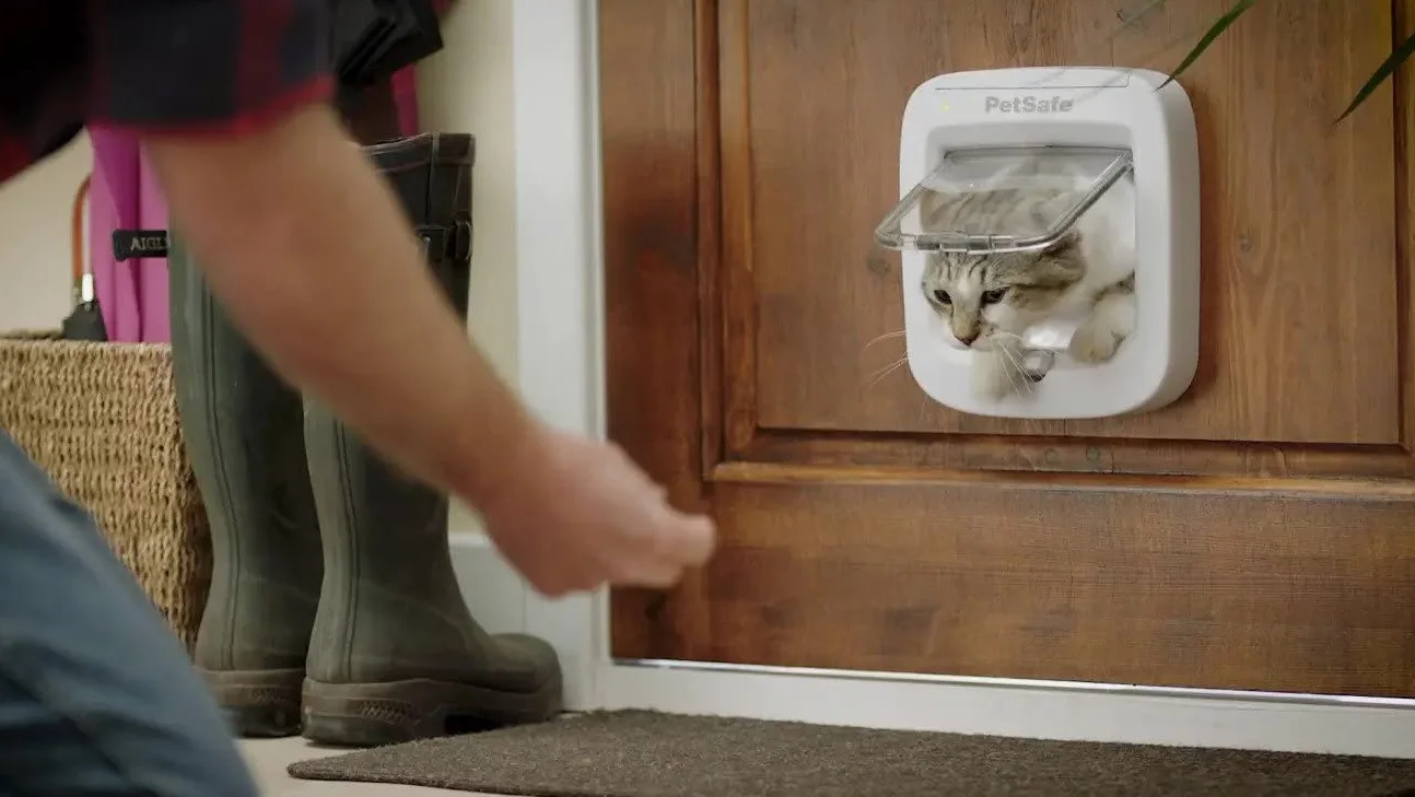 Lot de 2 étiquettes de collier RFID Petsafe pour clé à disque