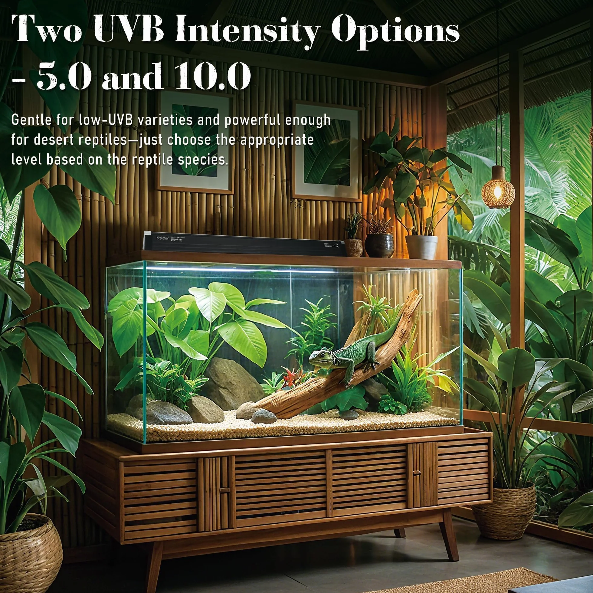 Lampe UVB T5 31,8 cm 8 W pour reptile terrarium avec ampoule UVB 5.0