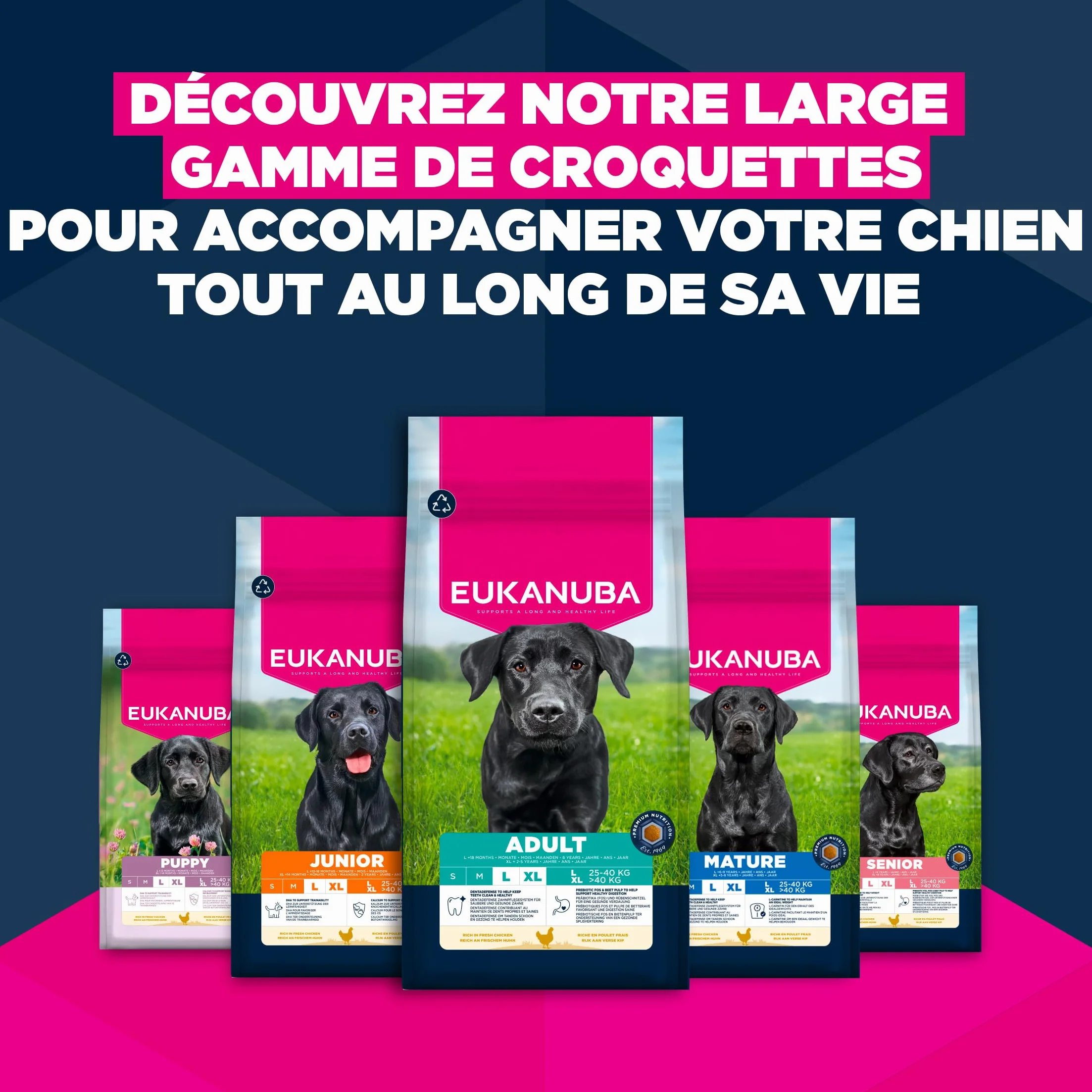 EUKANUBA Life Care Croquettes Chien Adulte Grande Race 15 kg