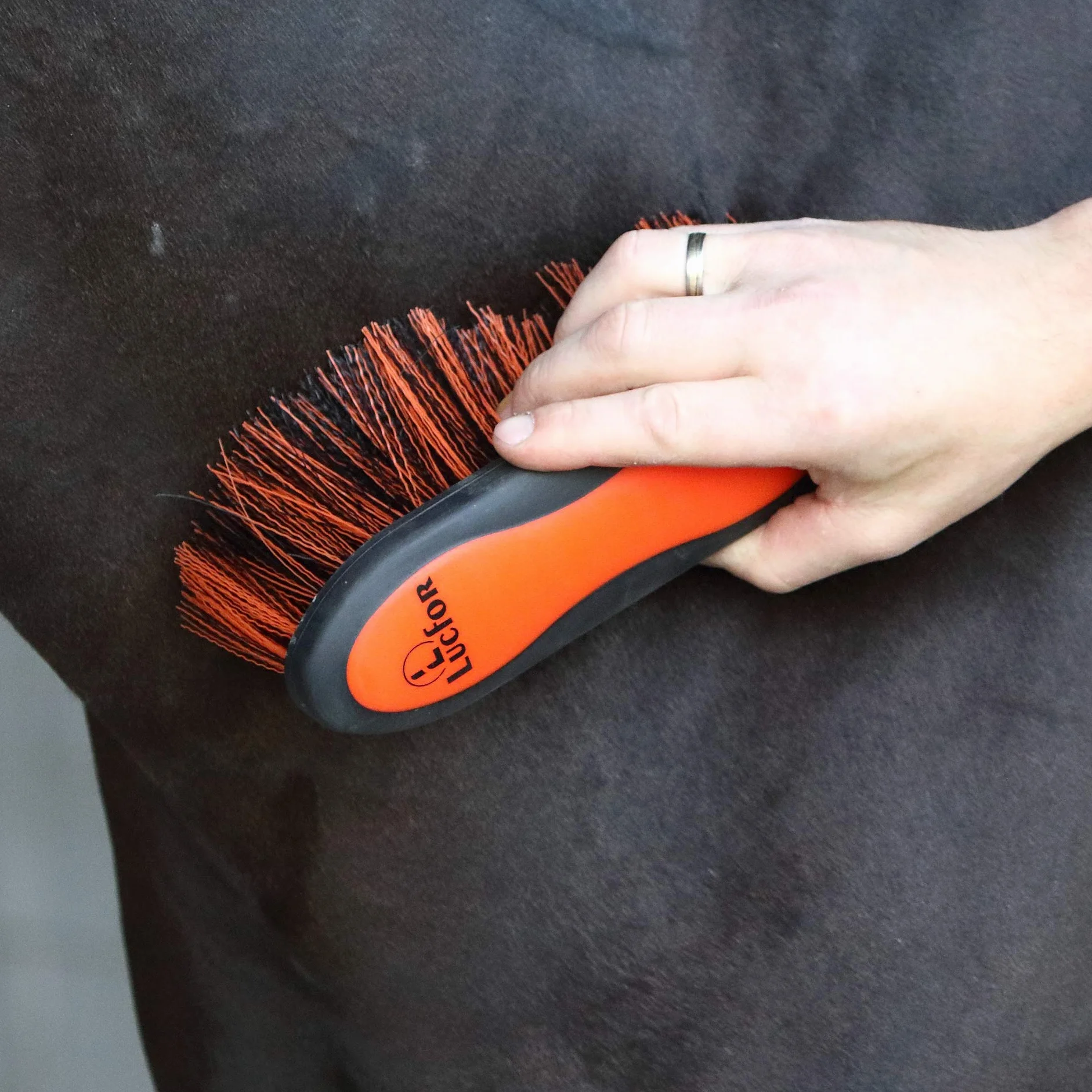 Brosse à racines douce pour chevaux à poils longs