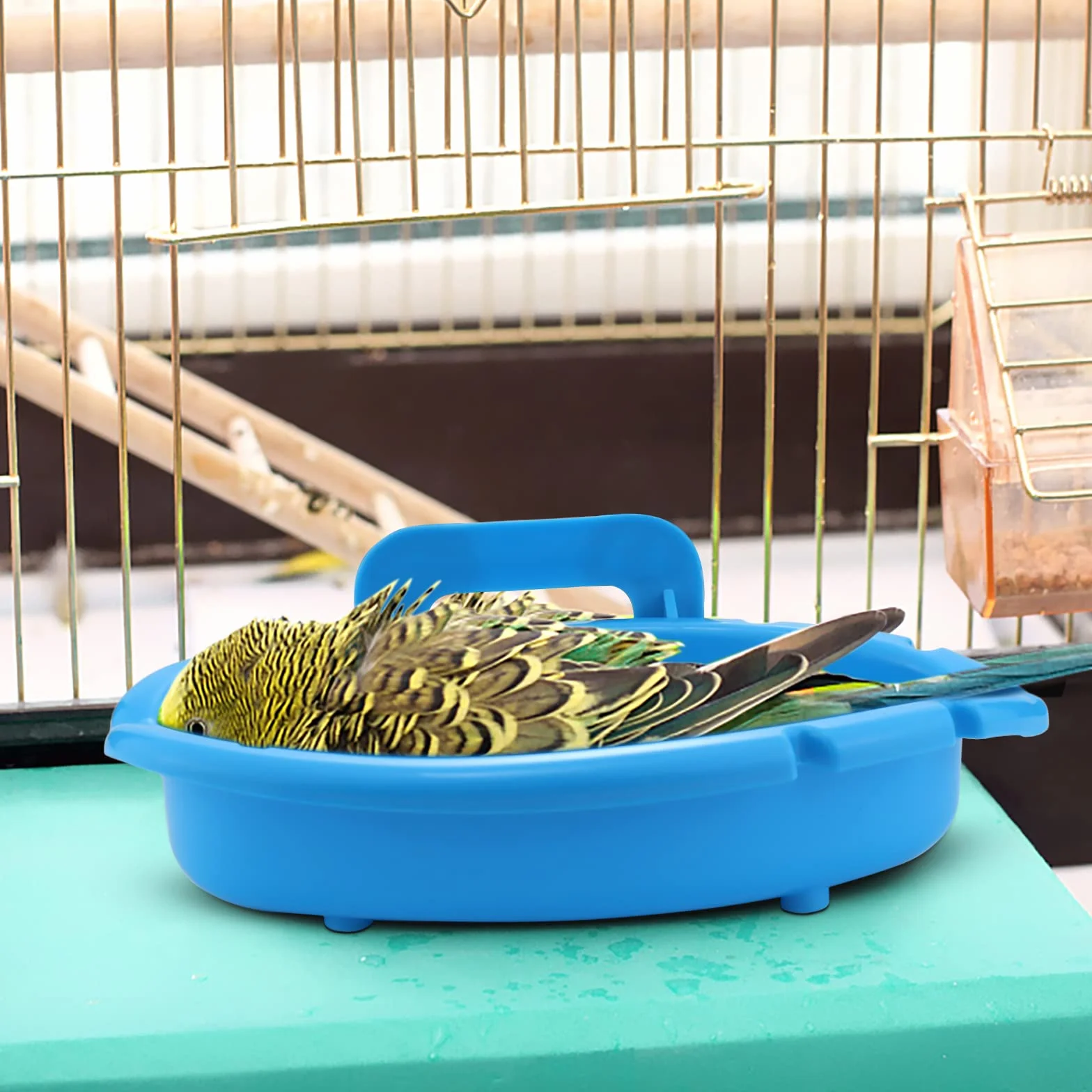 Baignoire Oiseaux Suspendue pour Perruche Canaris Cage Bains d'oiseaux Petits Perroquets (Bleu)