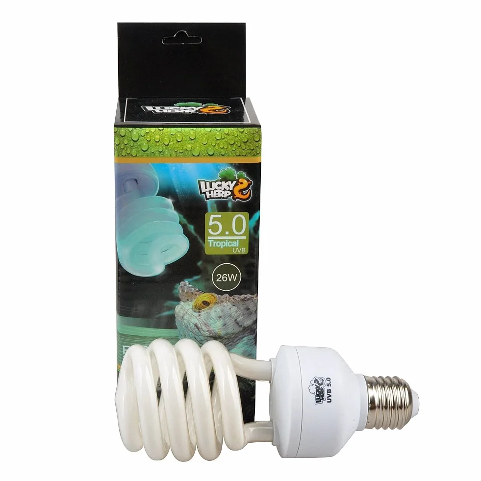 Ampoule compacte fluorescente reptile UVA/UVB 5.0 13W 26W