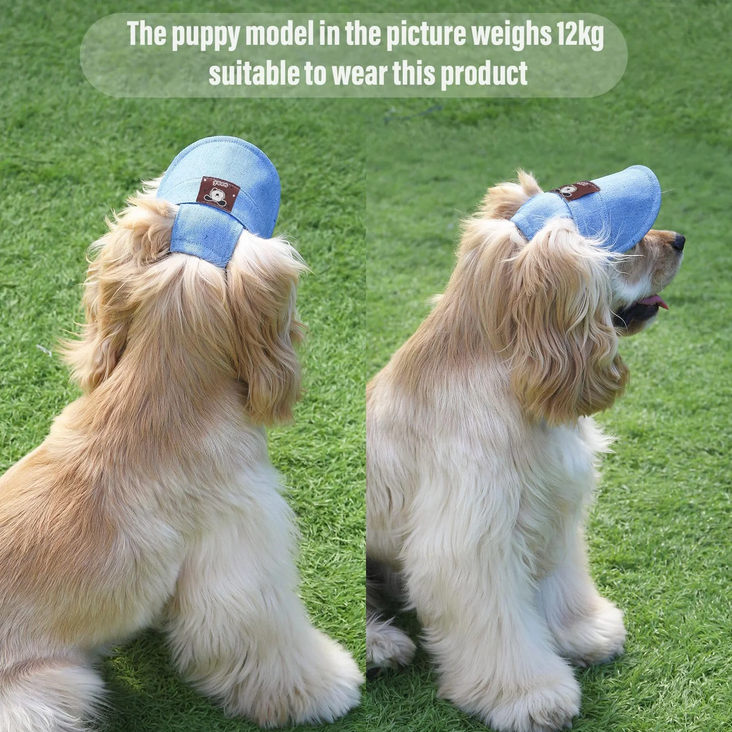 Casquette de soleil pour chien, casquette de baseball réglable avec des trous pour les oreilles, visière respirante pour chiots, chats (poids : 10 kg - 15 kg), protection solaire pour animaux