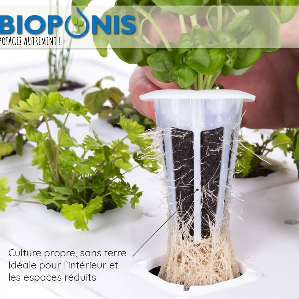Bouchon Noir pour Potager d'Intérieur Hydroponique - Lot de 10