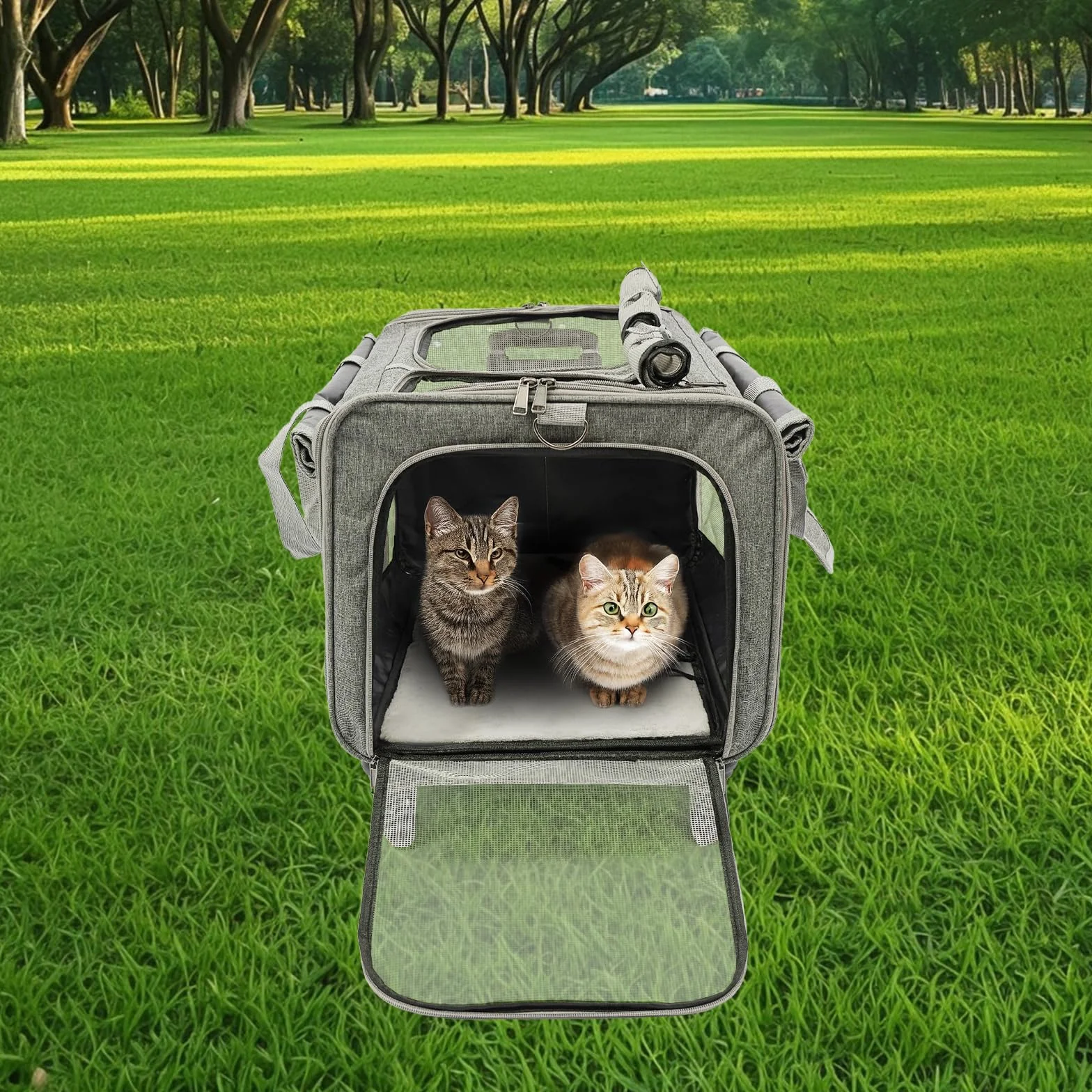 Sac de transport pour animal de compagnie 2 compartiments roulettes poignée télescopique jusqu'à 17,5 kg chat chien