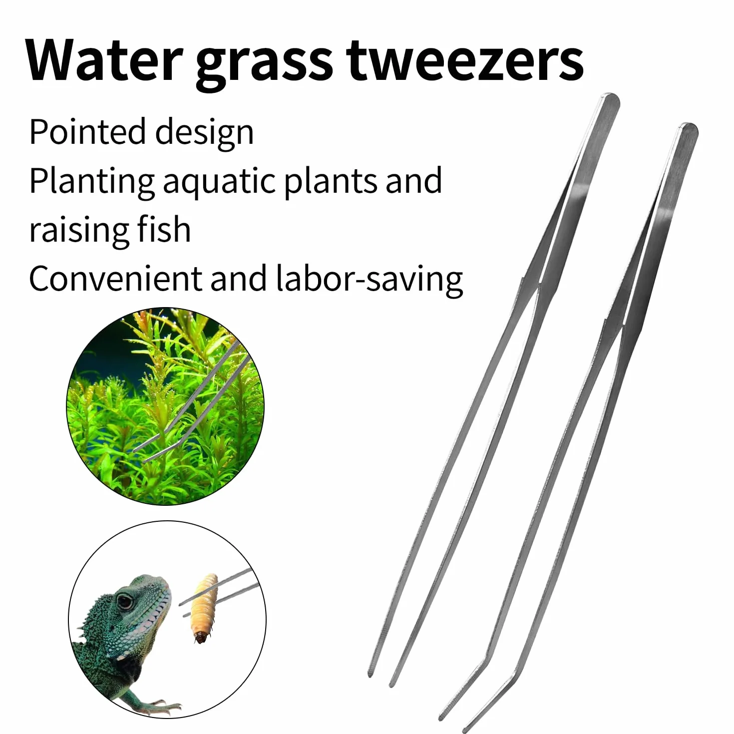 Lot de 5 outils d'aquascaping en acier inoxydable pour aquarium - Ciseaux, pince à épiler, grattoir