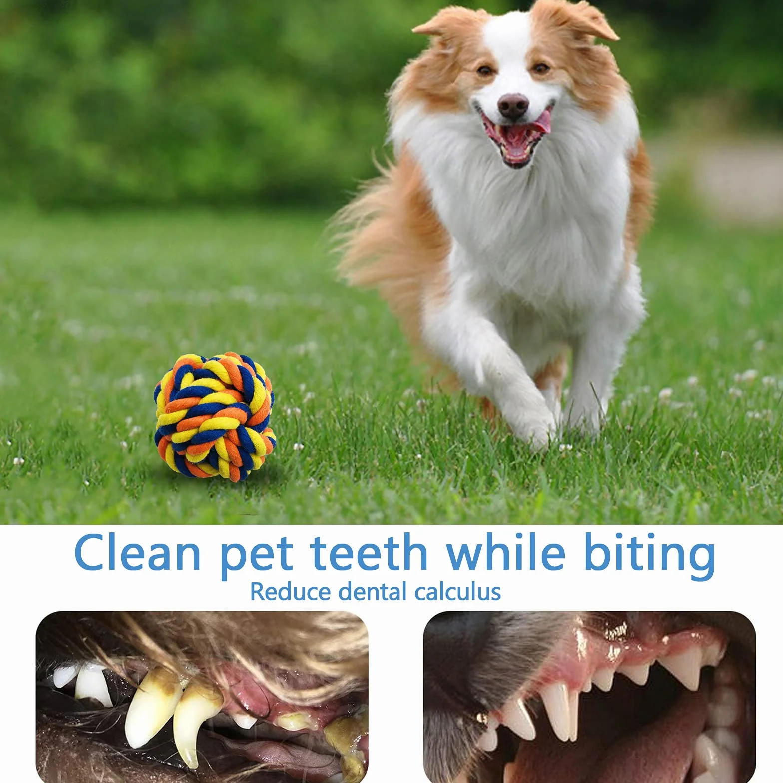 Amzeeniu Ensemble Lot de 16 PCS Jouet à Mâcher Corde pour Chiens, Jouet Interactif Chien Corde Balle