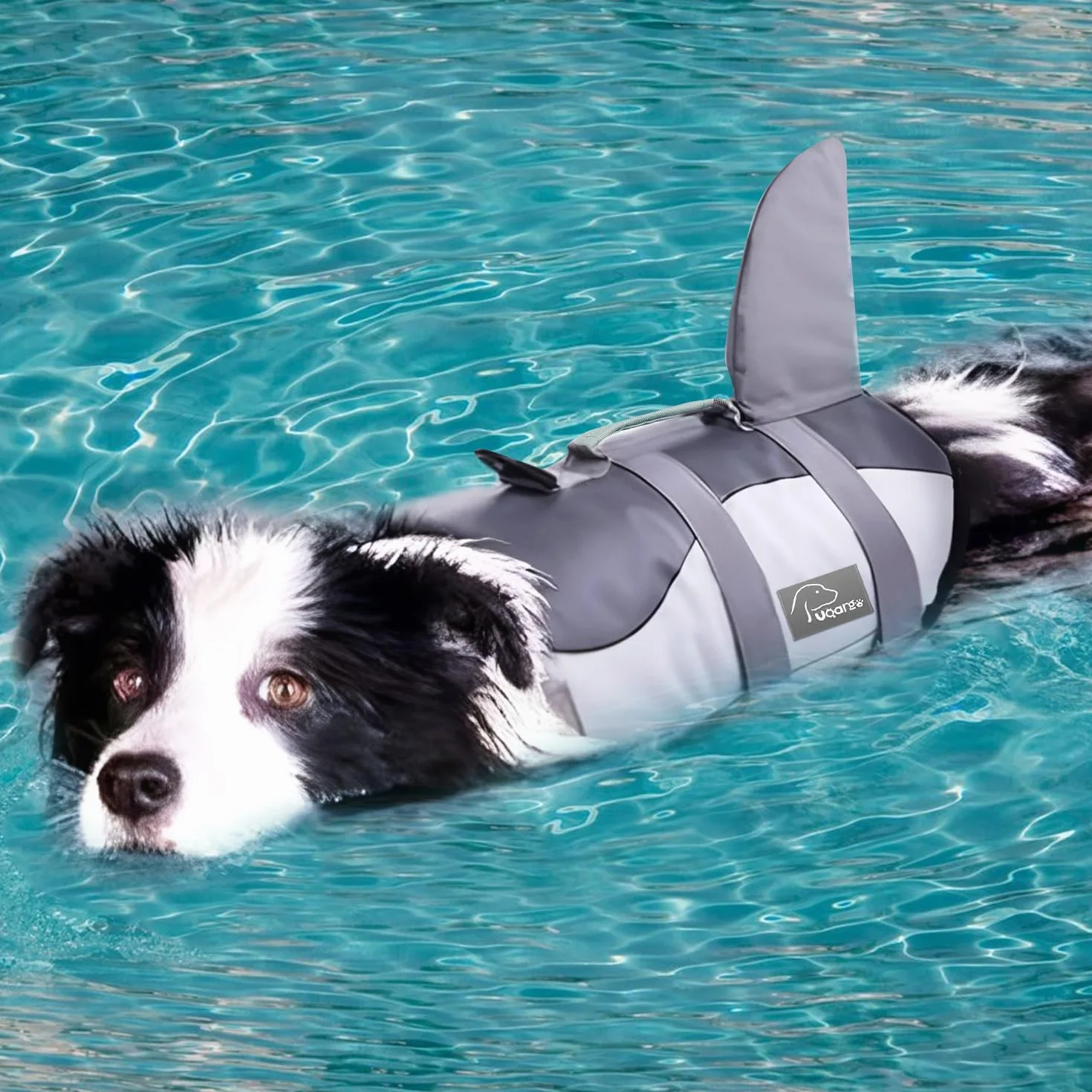 Gilet de sauvetage pour chien Voarge avec poignée et réflecteur sécurité animaux gris taille L