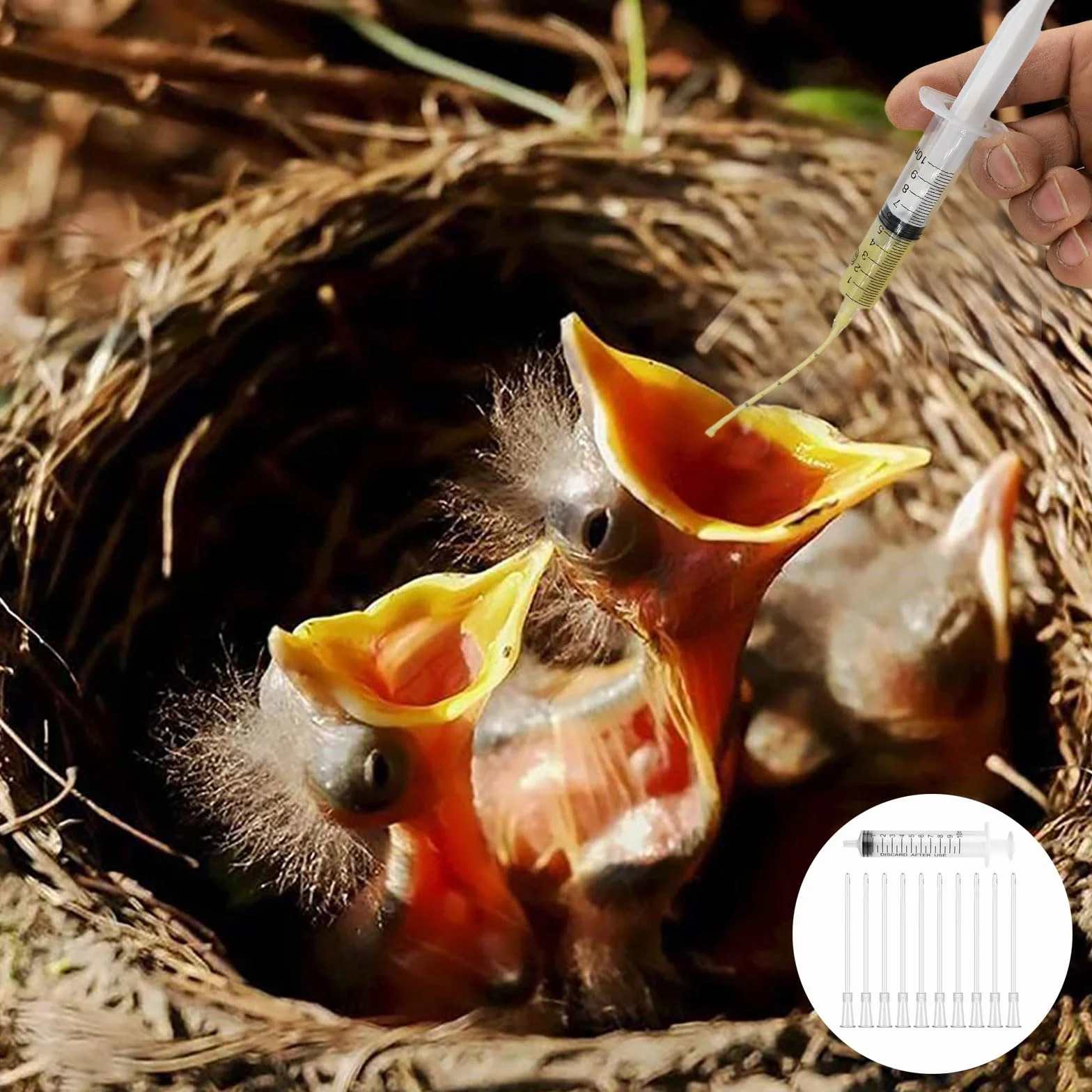 Tubes d'alimentation pour Oisillons 11 PCS Seringue pour Alimentation Manuelle Oiseaux Perroquets