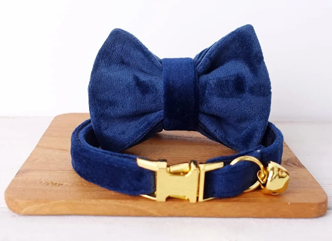Collier Personnalisé pour Chat avec Gravure Nom Téléphone, Tissu Velours Doux, Boucle Métal Sécurisée, Bleu Marine, L 20-32cm