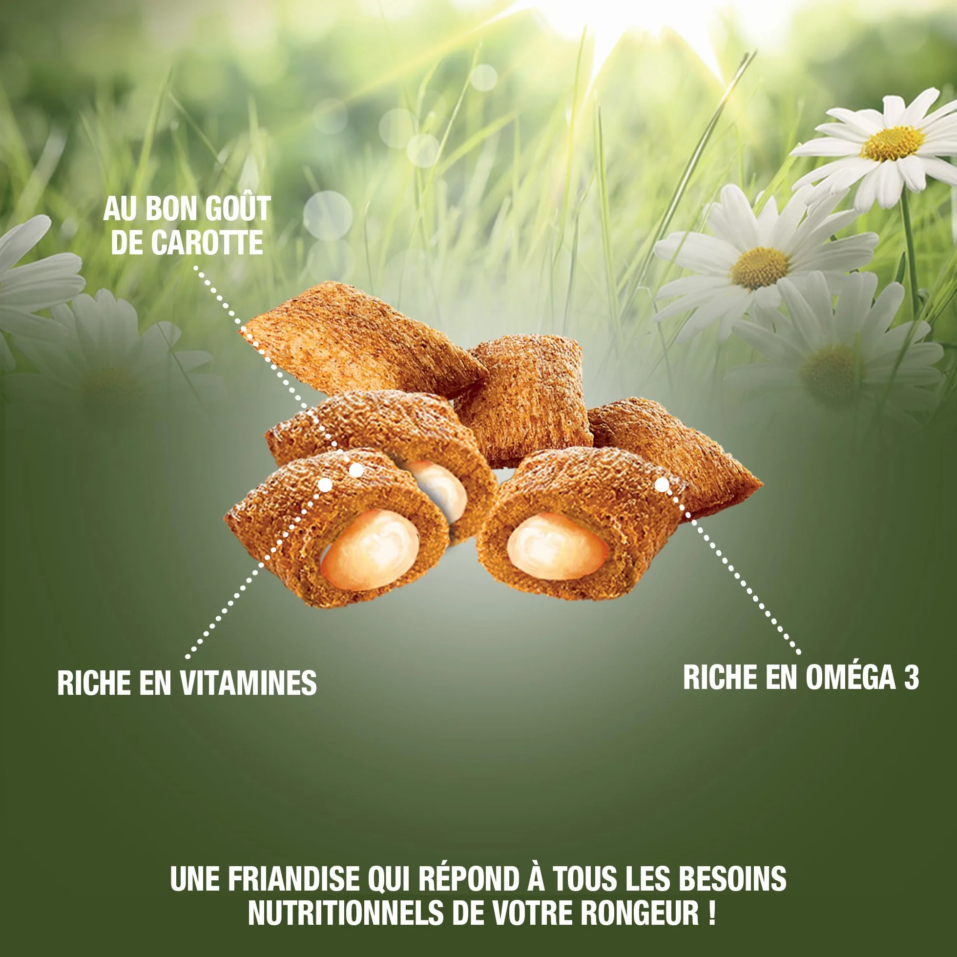 Crookies aux Carottes Biscuits pour Lapins Rongeurs Riche en Vitamines Oméga 3 50 g
