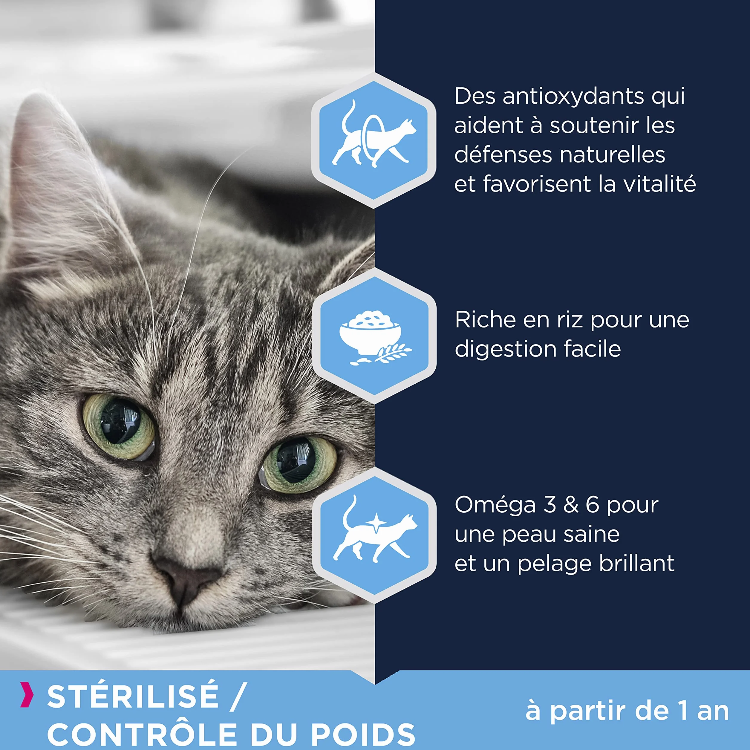 EUKANUBA Croquettes Premium Chat Stérilisé Surpoids Adulte Senior 10kg