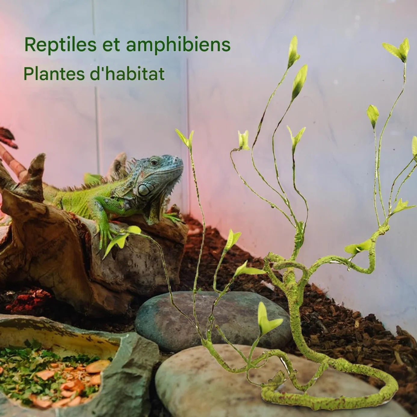 Générique Branches pour Reptiles Grimpeurs - Accessoires De Cage pour Caméléons | Décor De Vignes Artificielles Naturelles pour Dragon Barbu Grenouille Serpent Crabe De Terre Tarentule