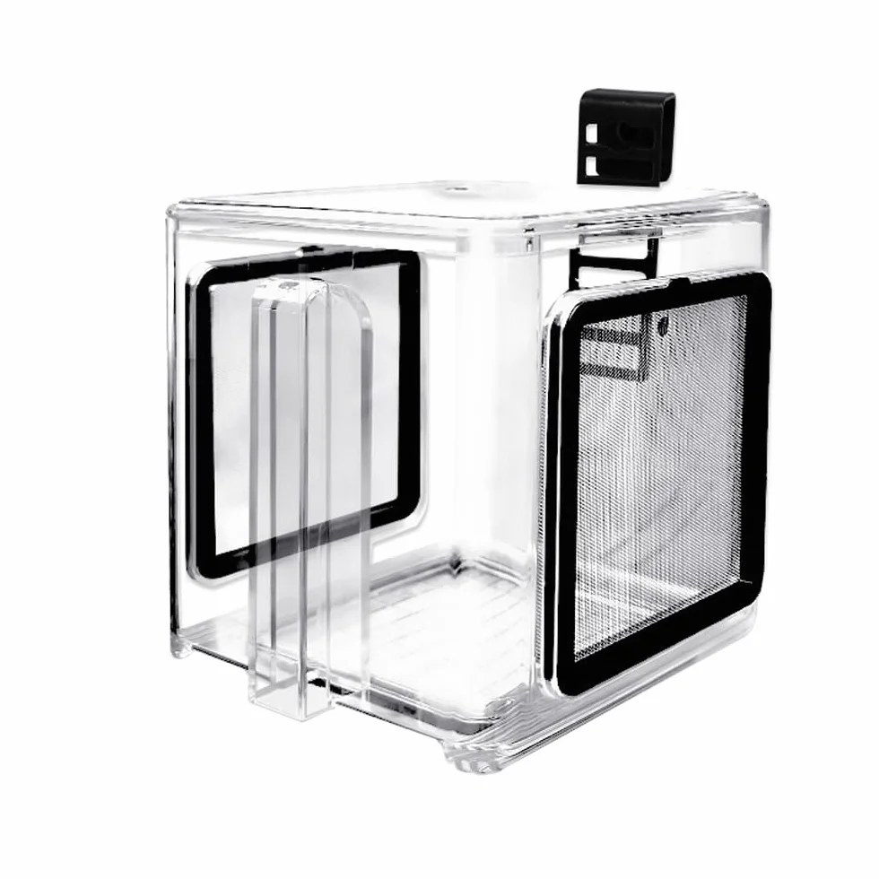 Boîte d'élevage de Poissons de mer en Acrylique Transparent, réservoir d'aquarium Amovible pour bébés Poissons